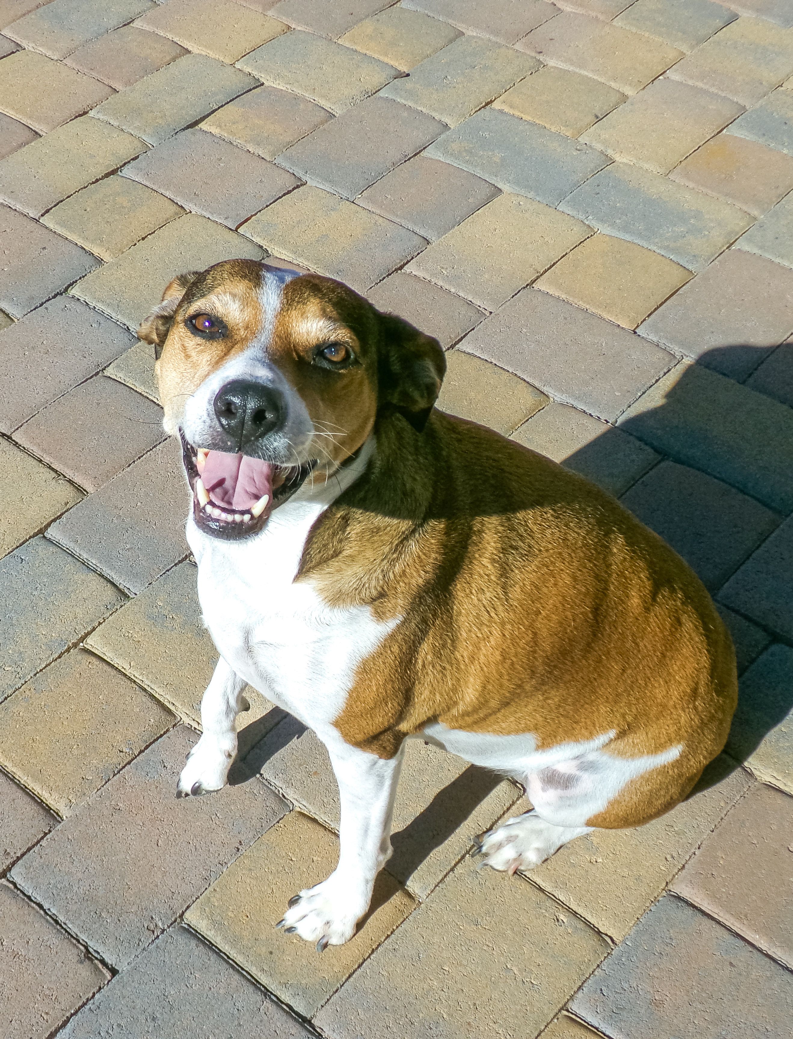 22740 North 123rd Drive