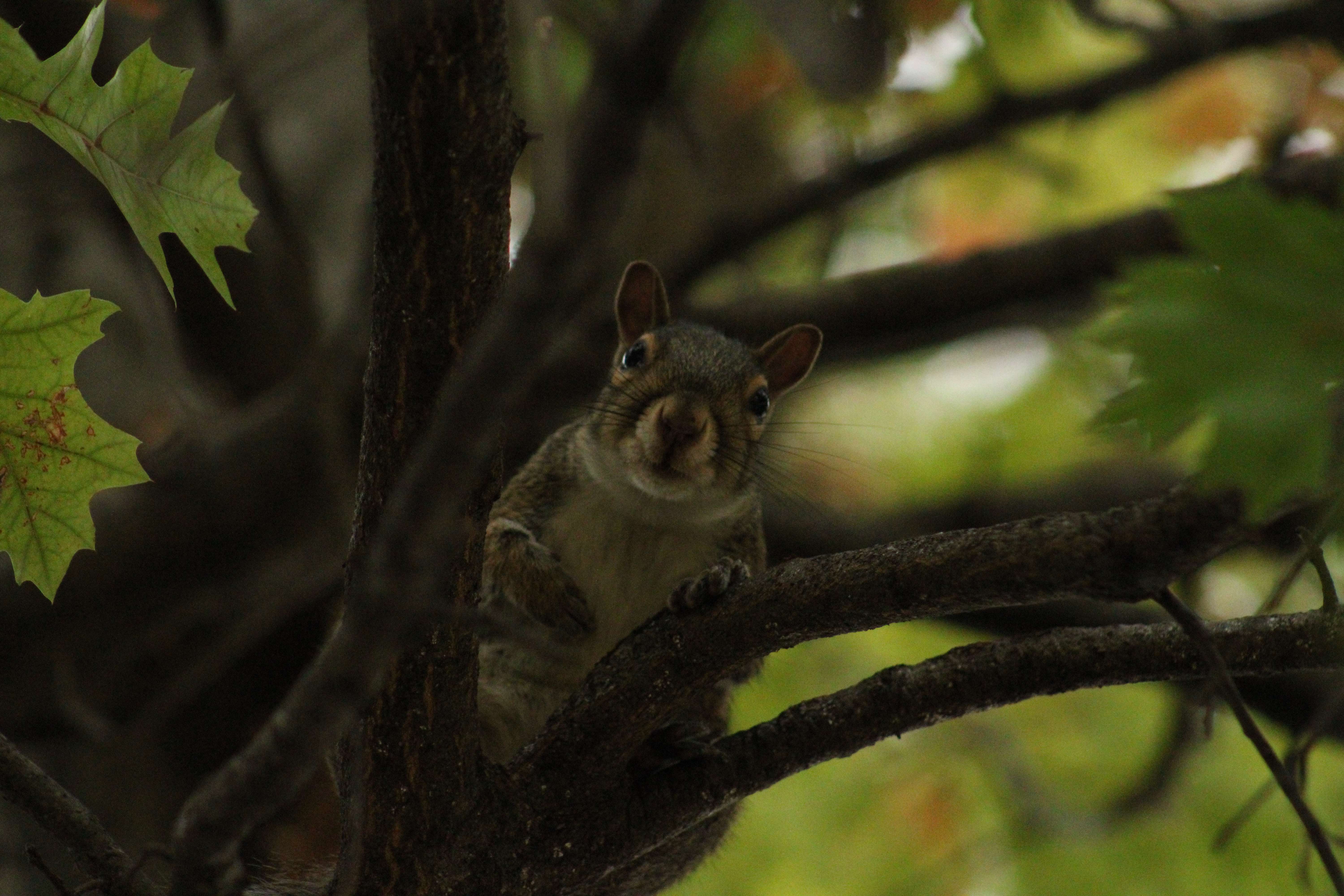 191 West 12th Avenue