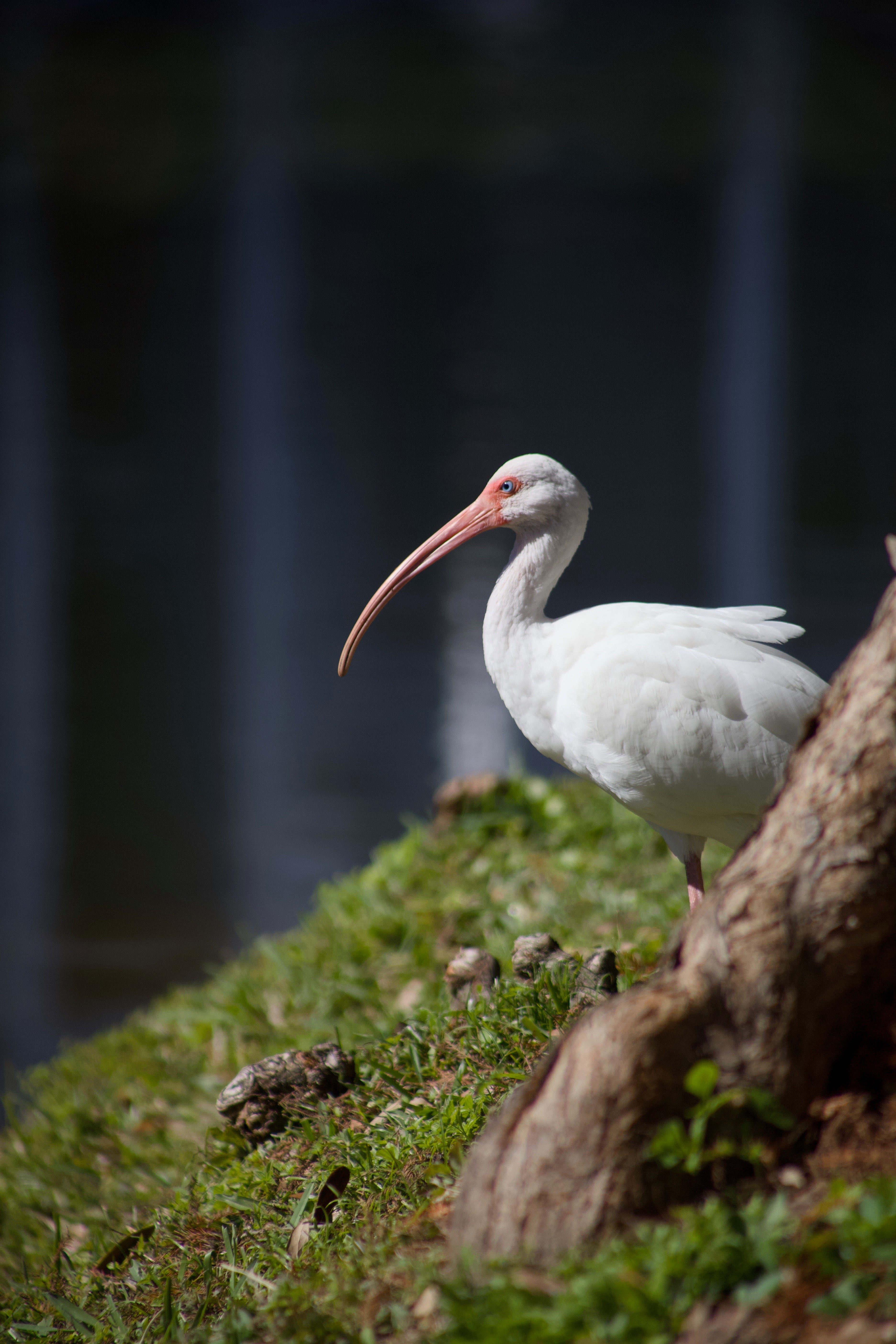 9880 Progress Boulevard