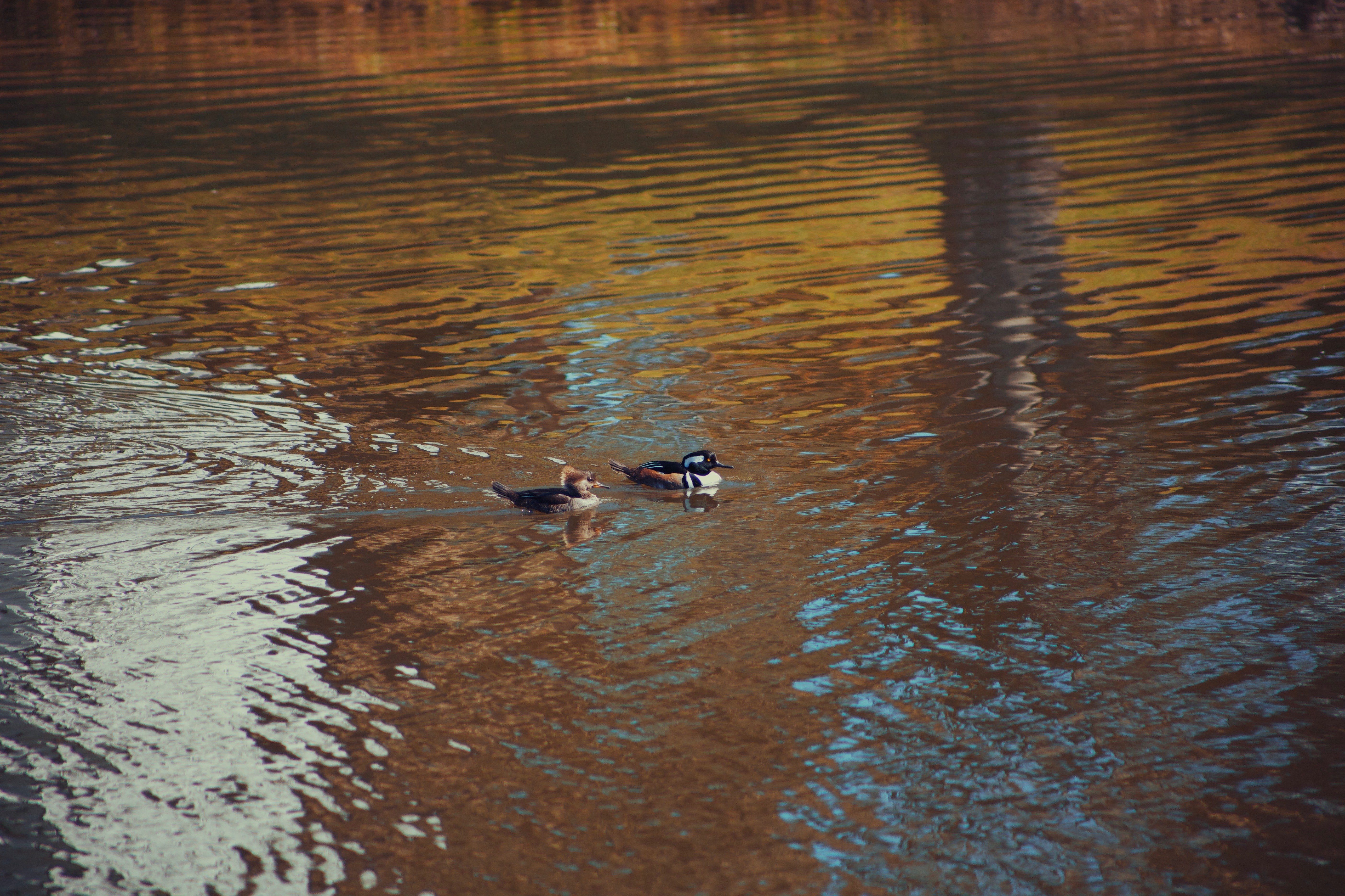 5507 Legacy Crescent Place