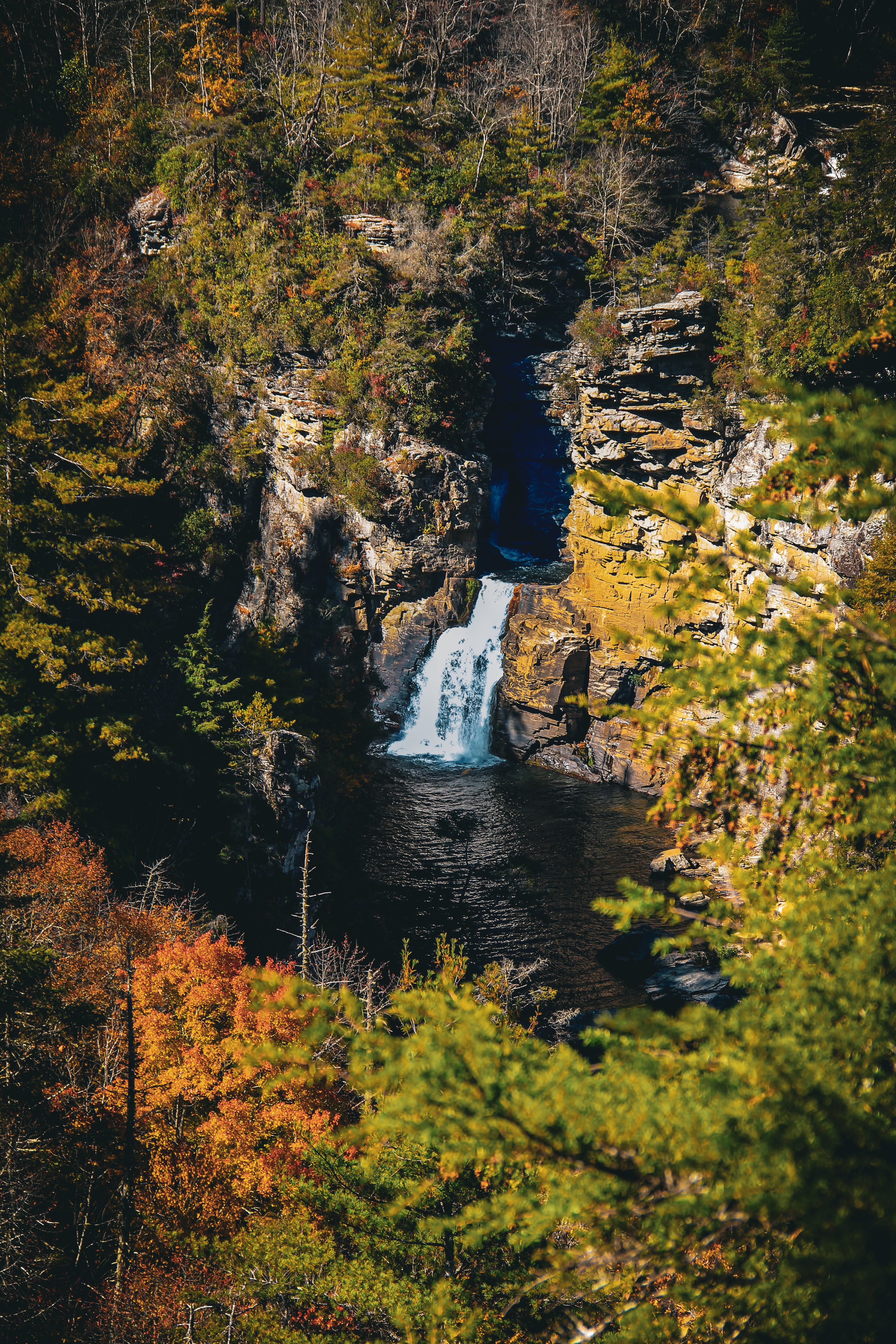 8276 Biggerstaff Lane