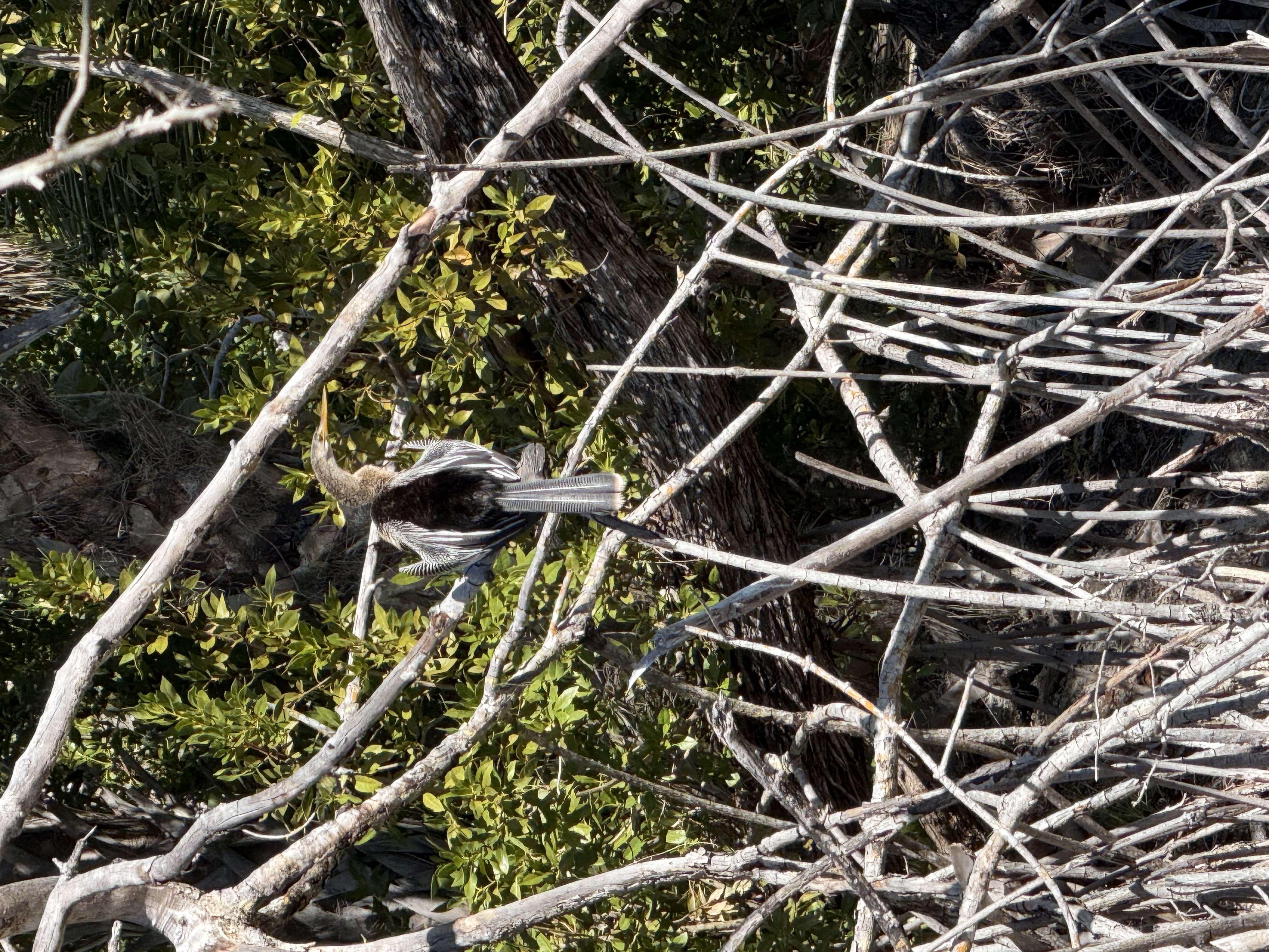 4340 Gulf Pines Drive