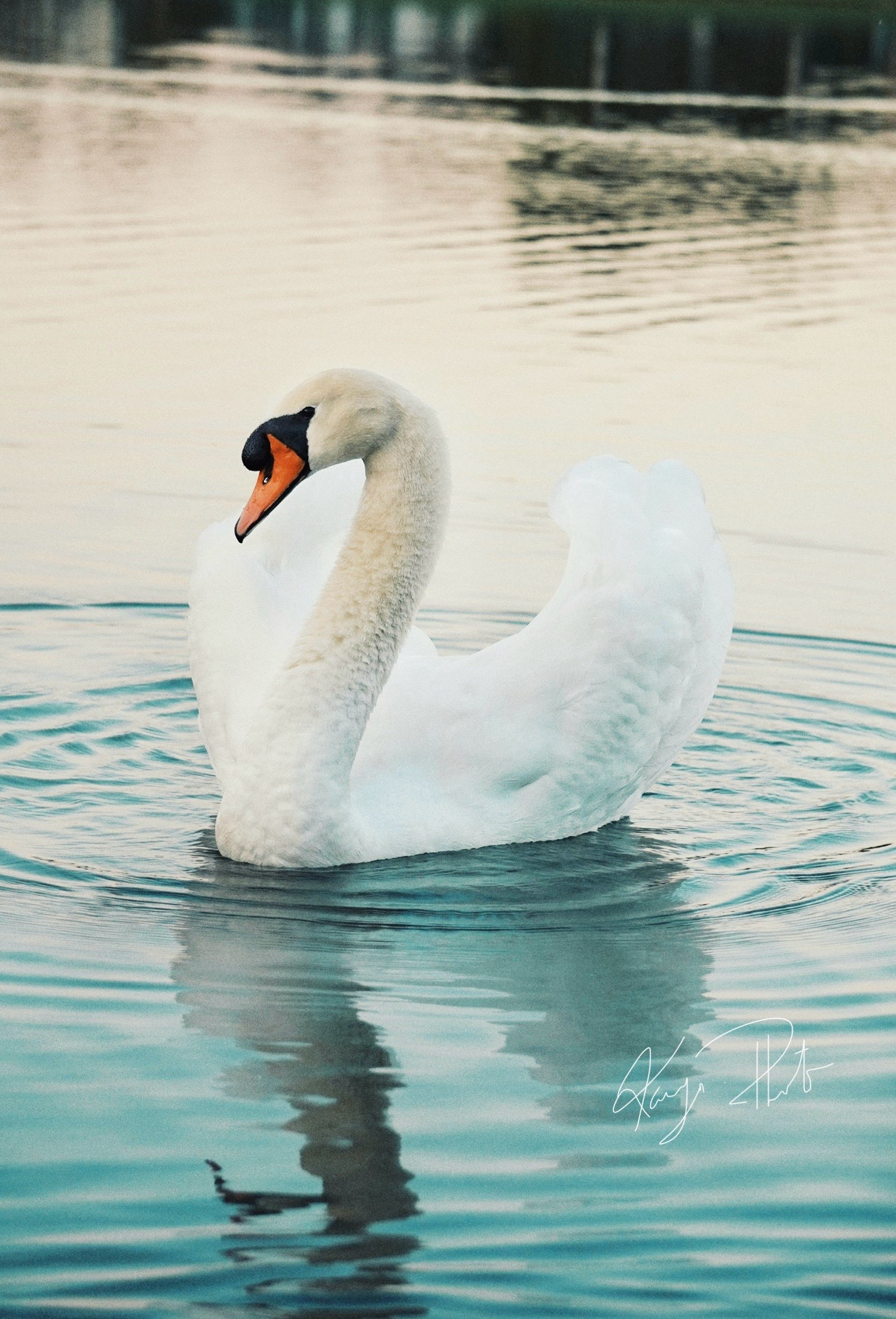 6265 Northwest 113th Court