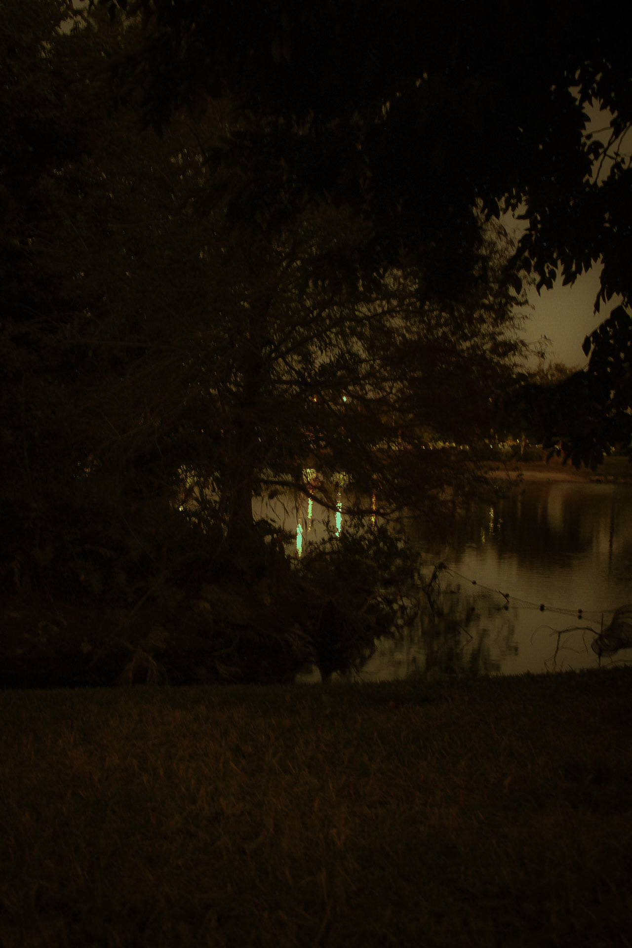 13040 Summerlin Road