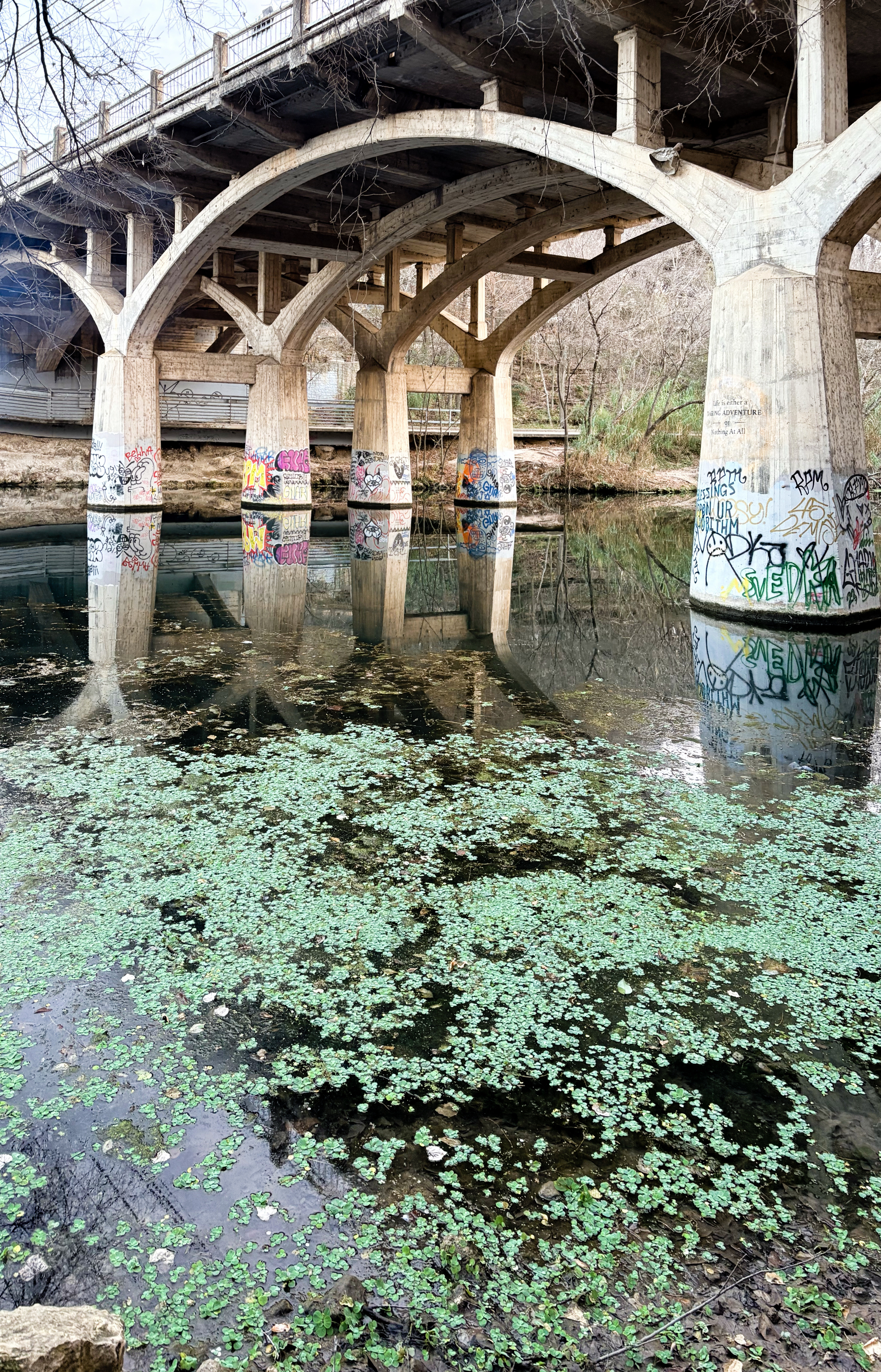 1506 East Side Drive