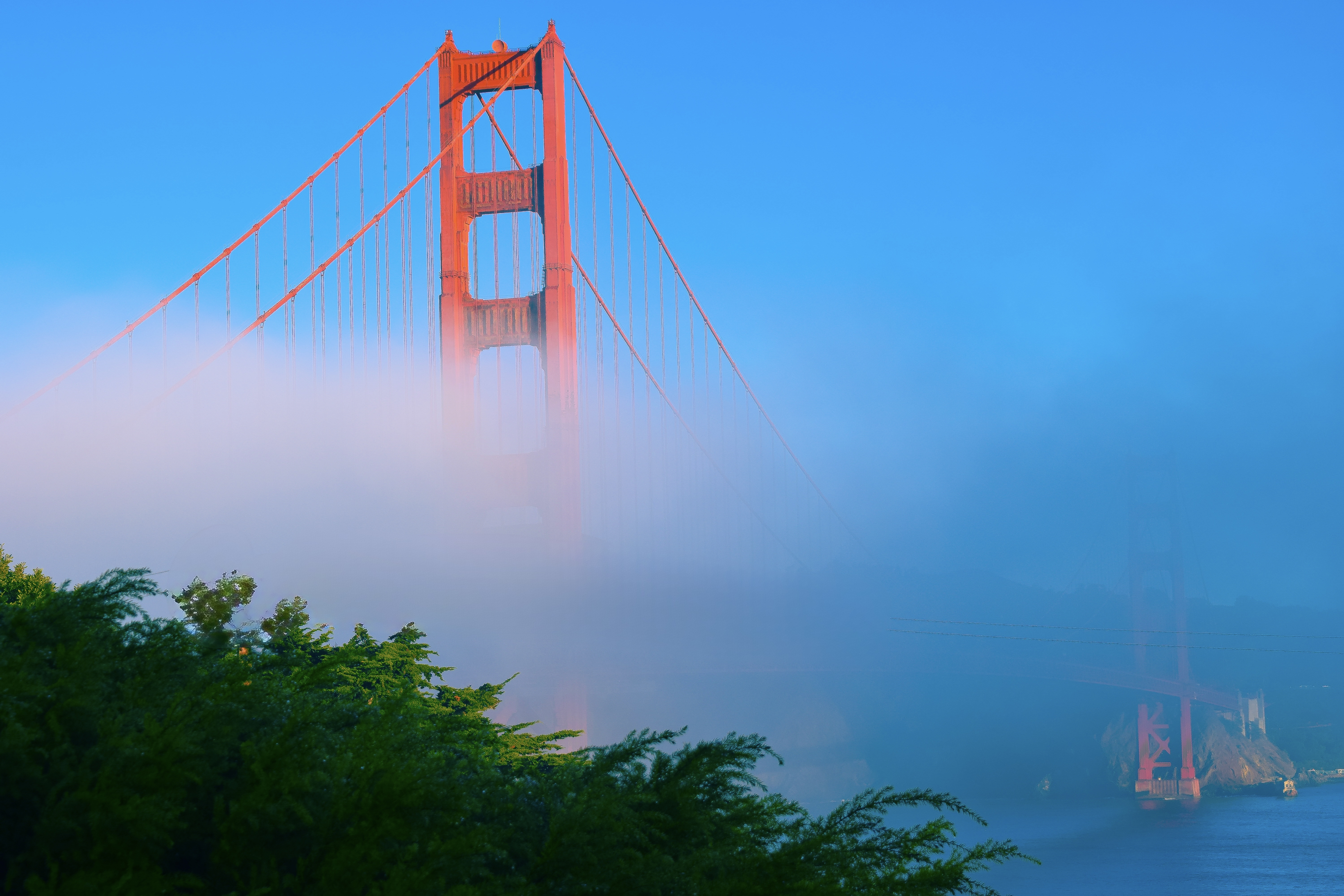 401b Washington Boulevard