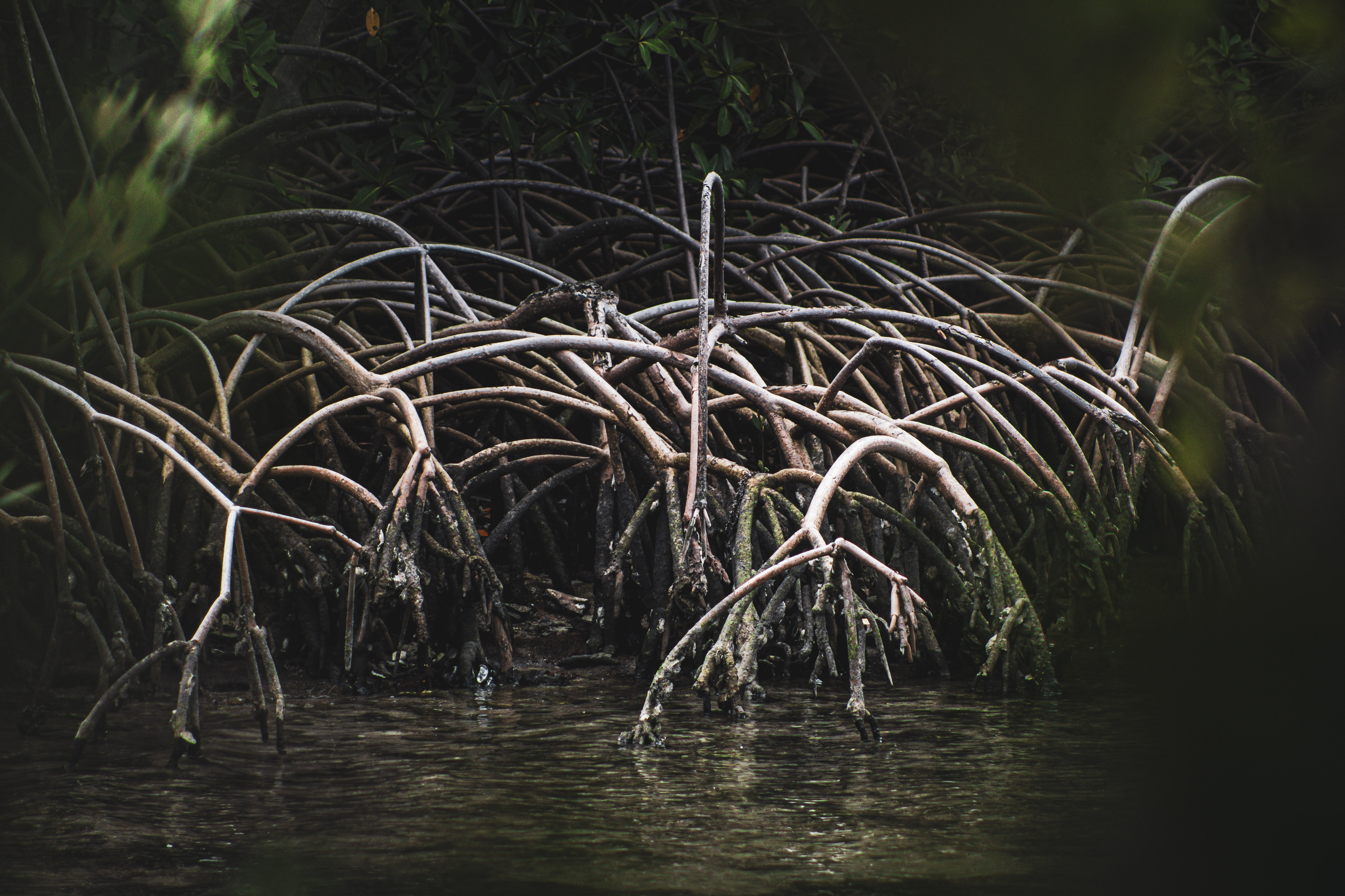 9737-9955 North Ocean Drive