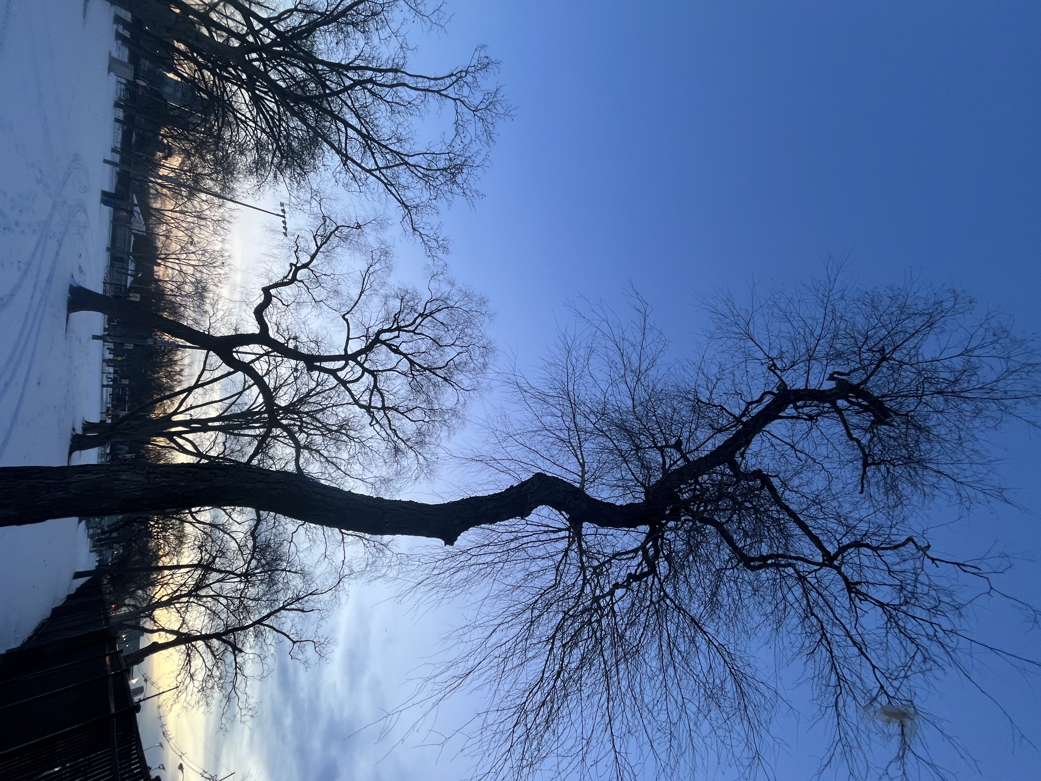 967 Communipaw Avenue