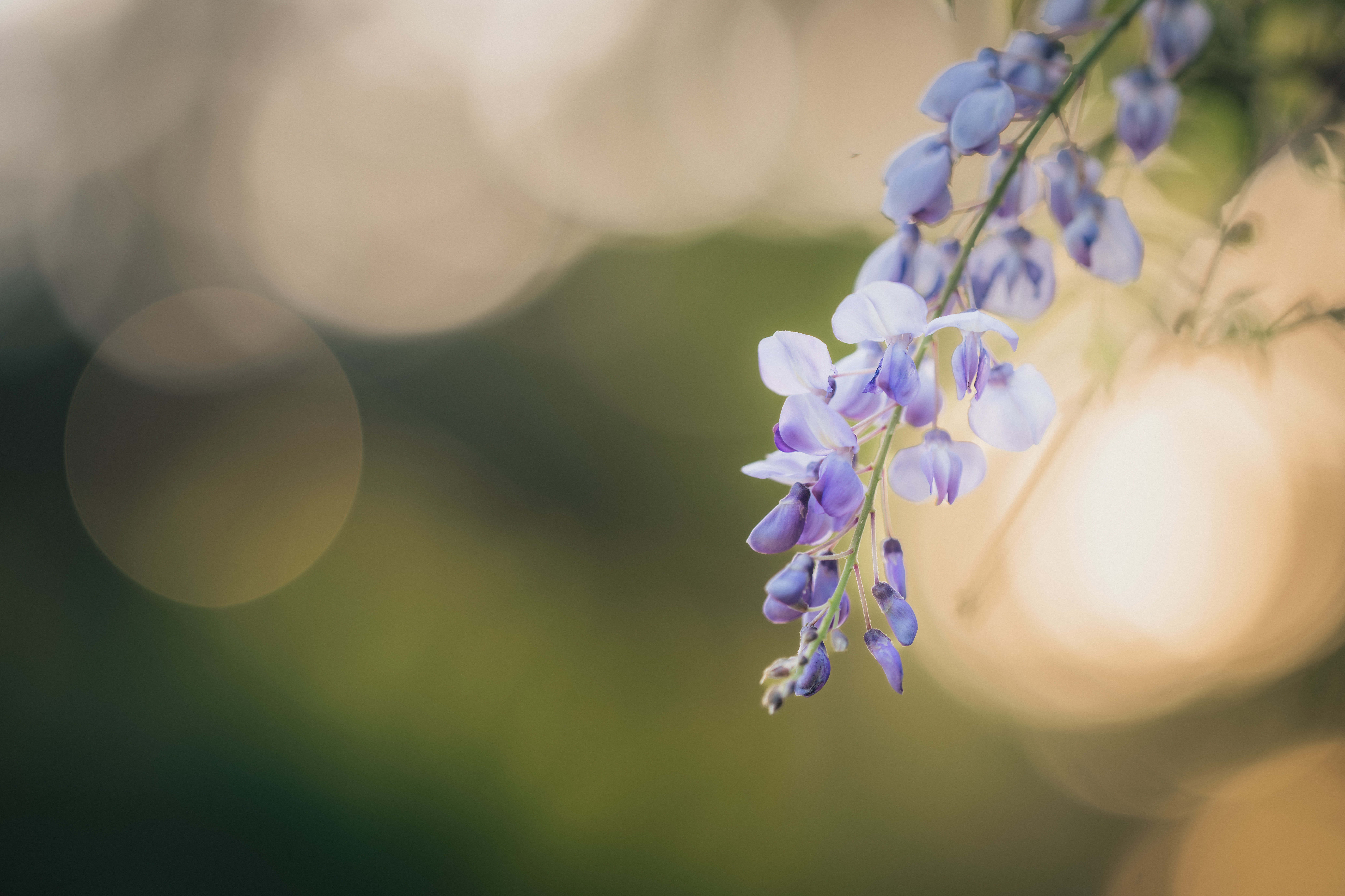 13799 Southwest 98th Avenue