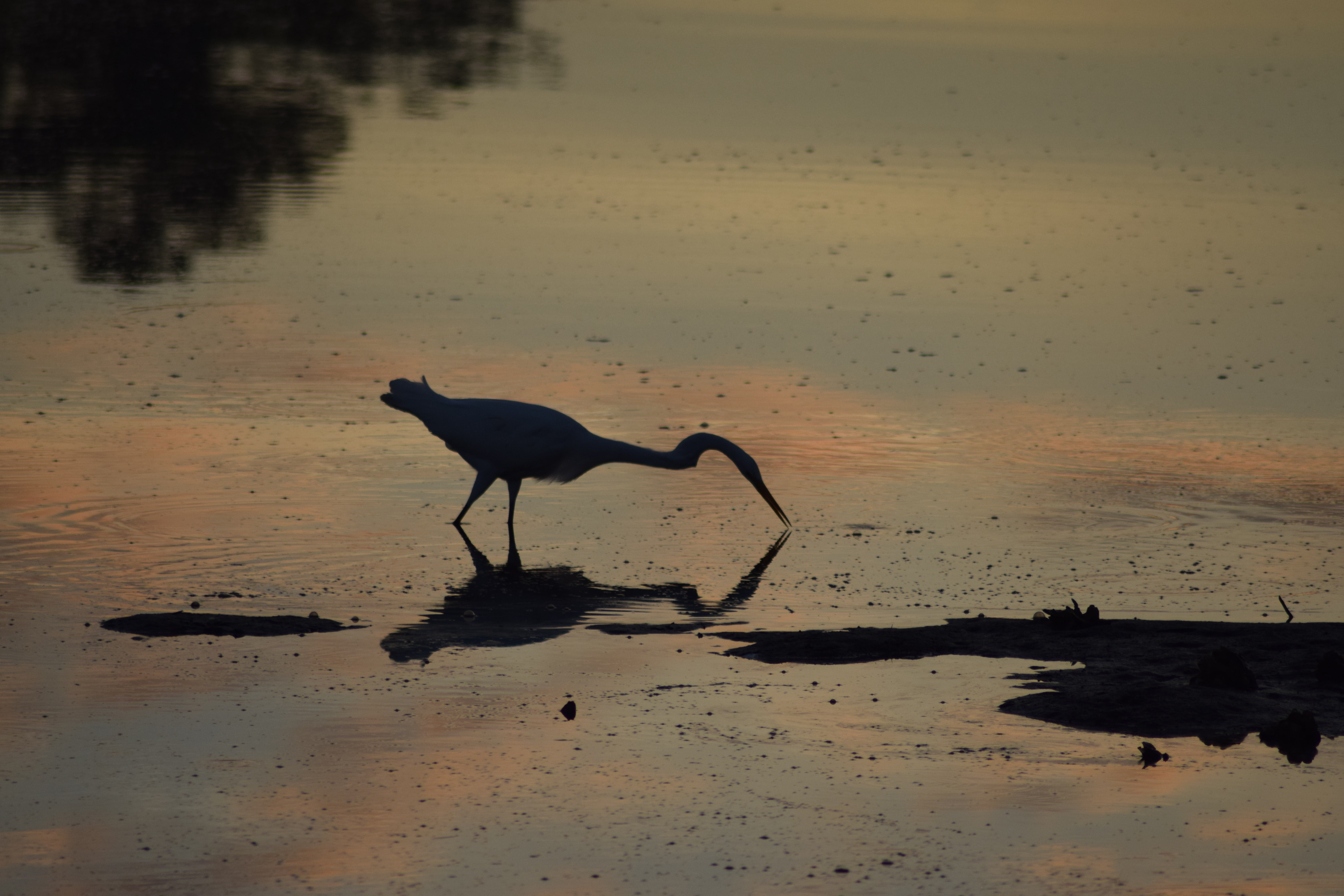 14632 San Pablo Drive North