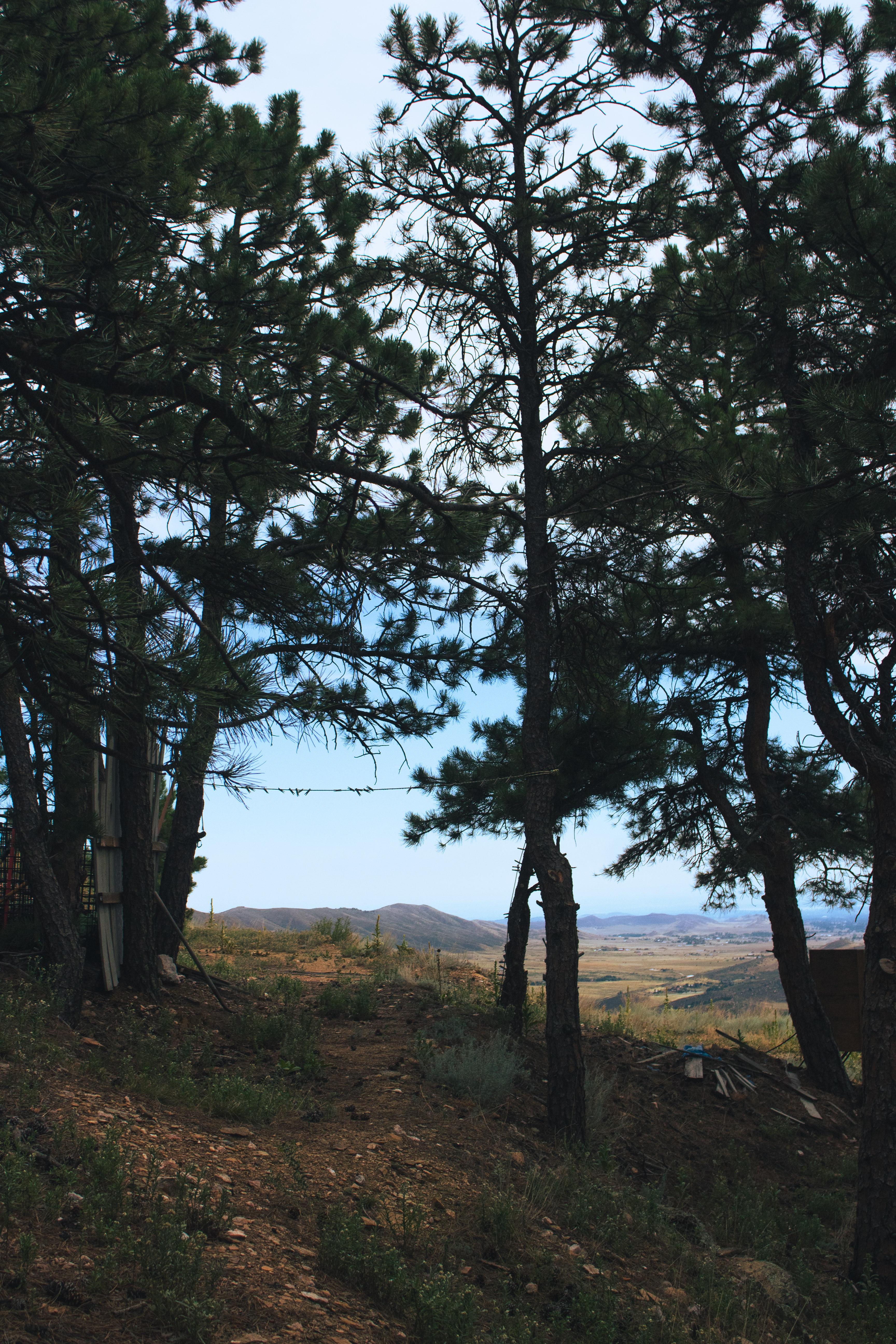 12075 Mountain Mahagony Road