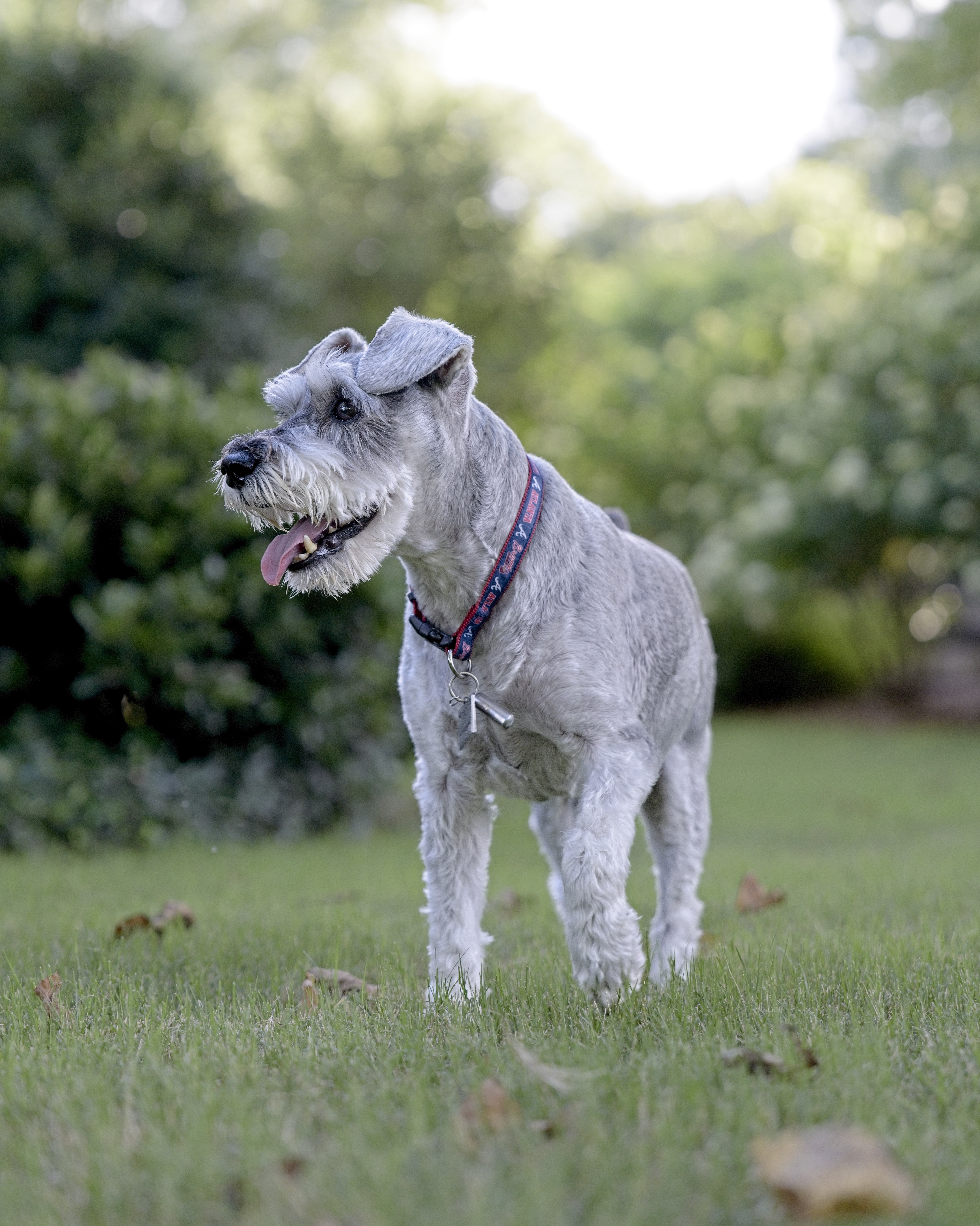 1077 Dell Avenue Southeast