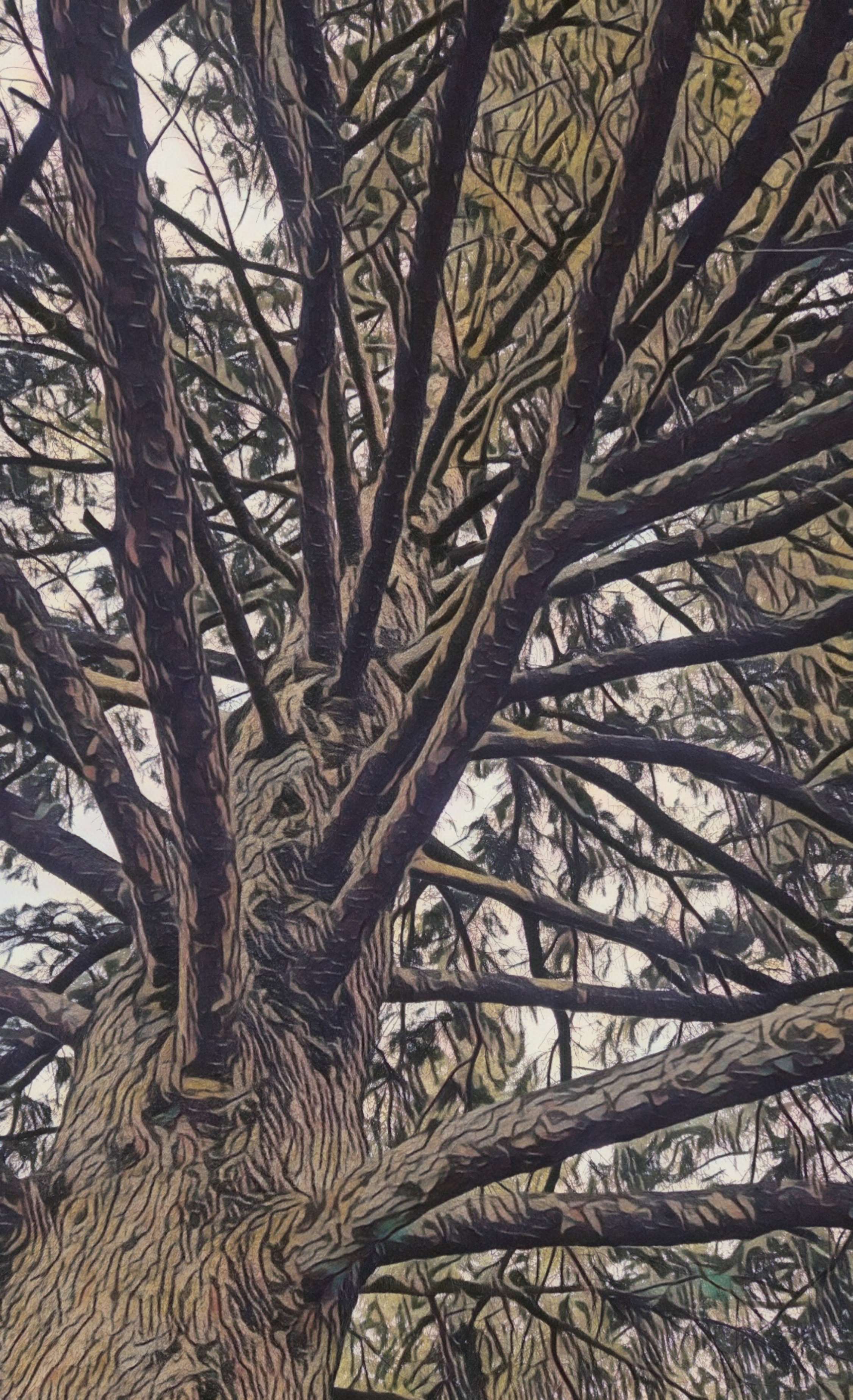 9333 Scenic Bow Road NW