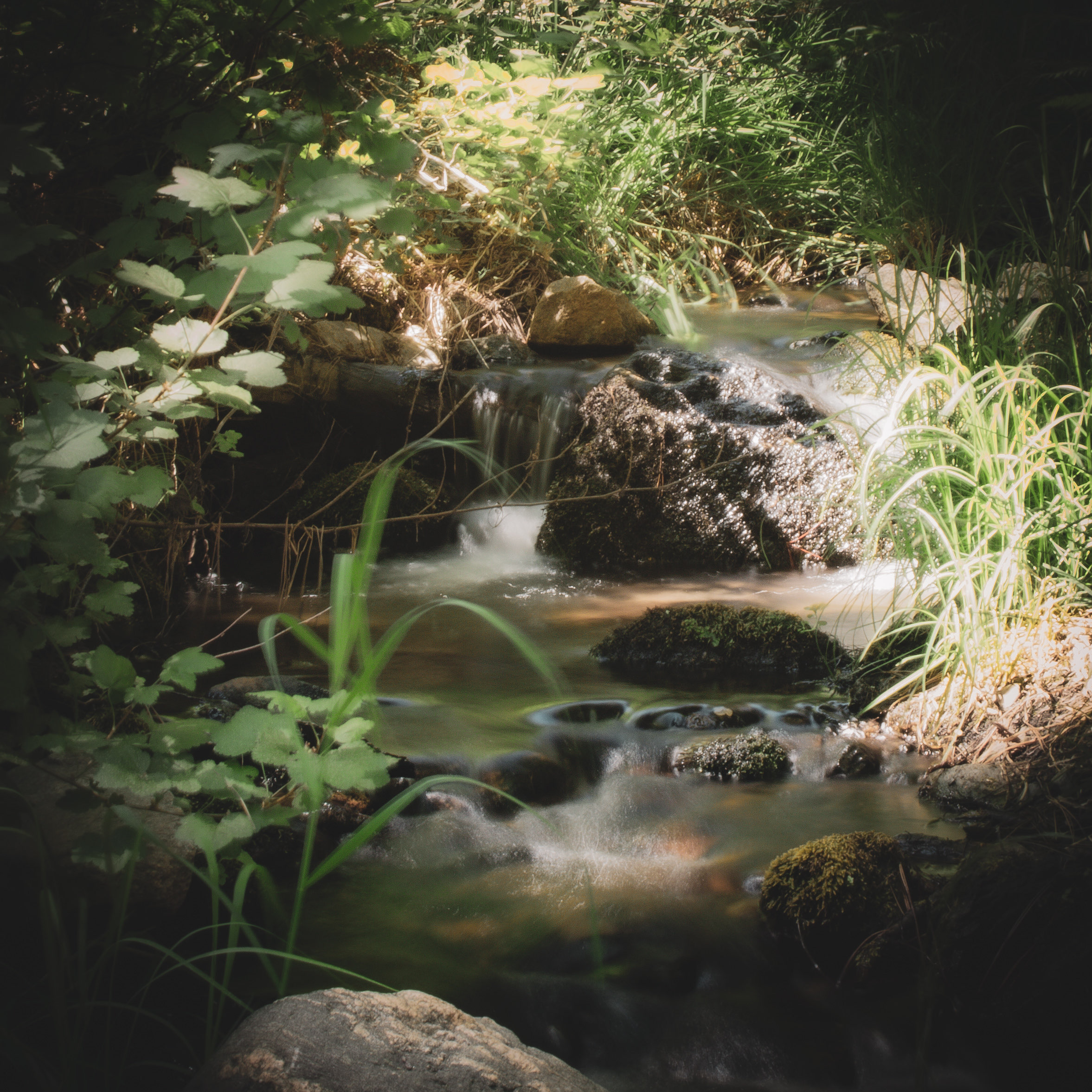 40797 Big Bear Boulevard