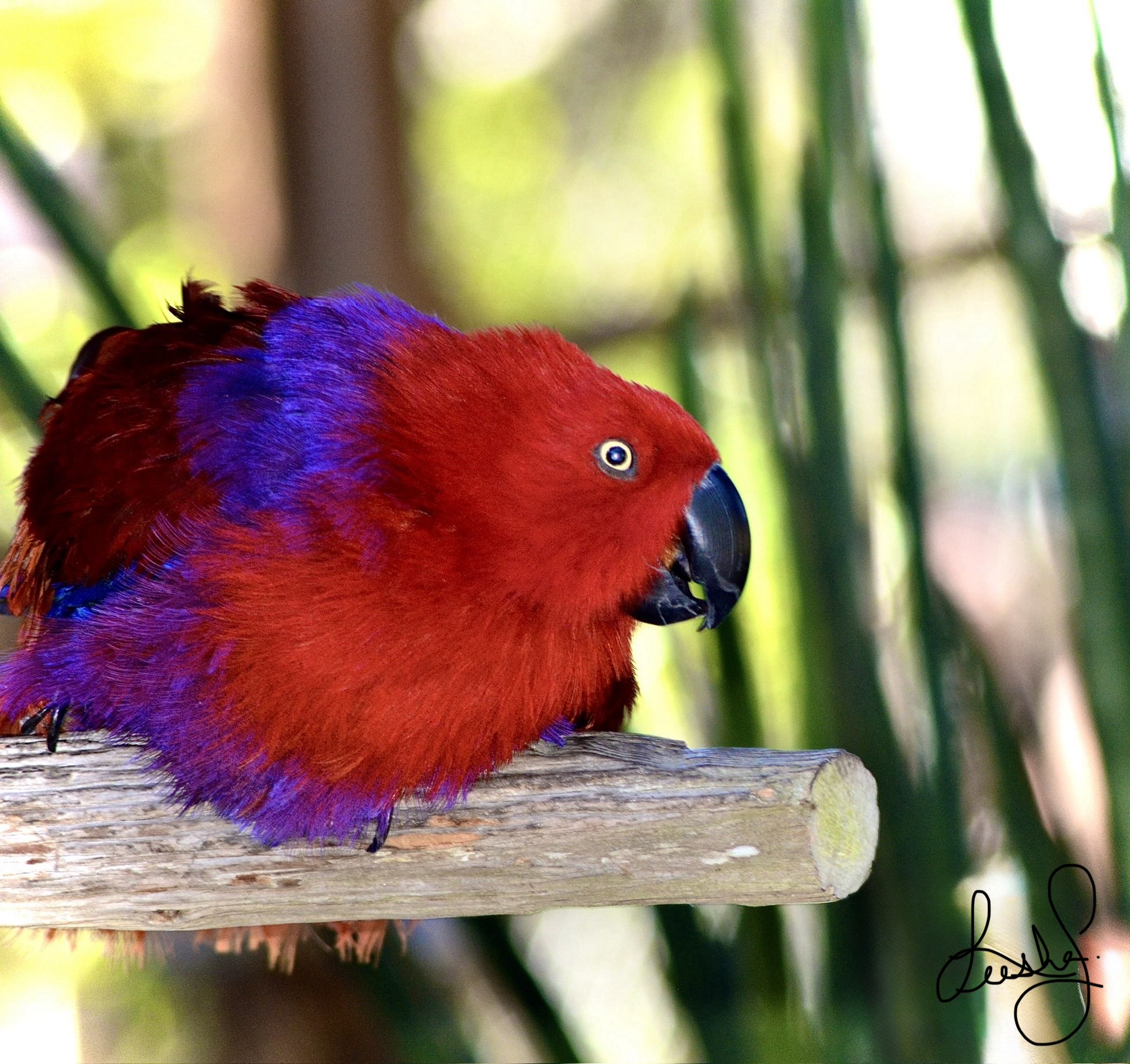 10420 Hampton Street