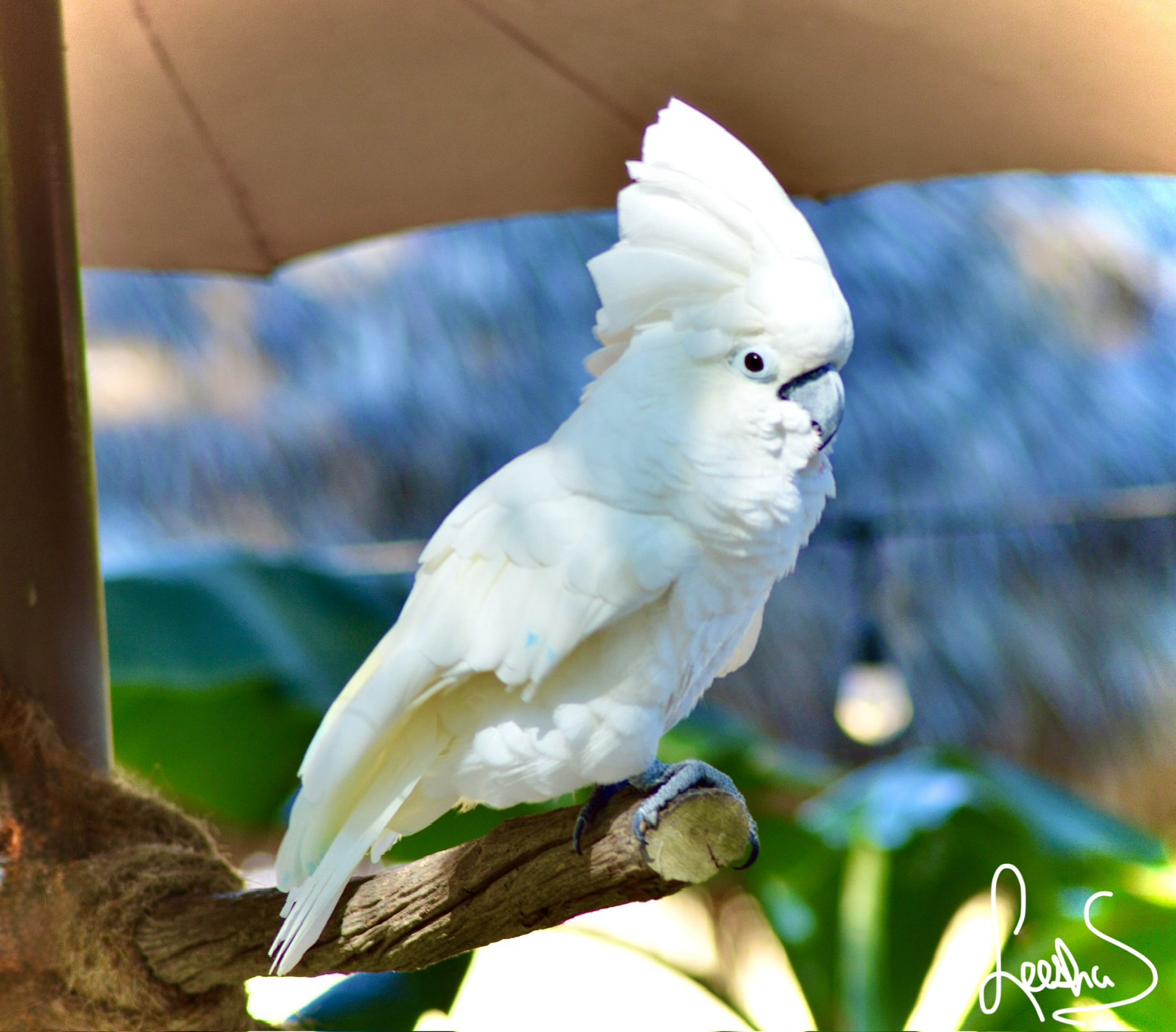 27750 Tennessee Street