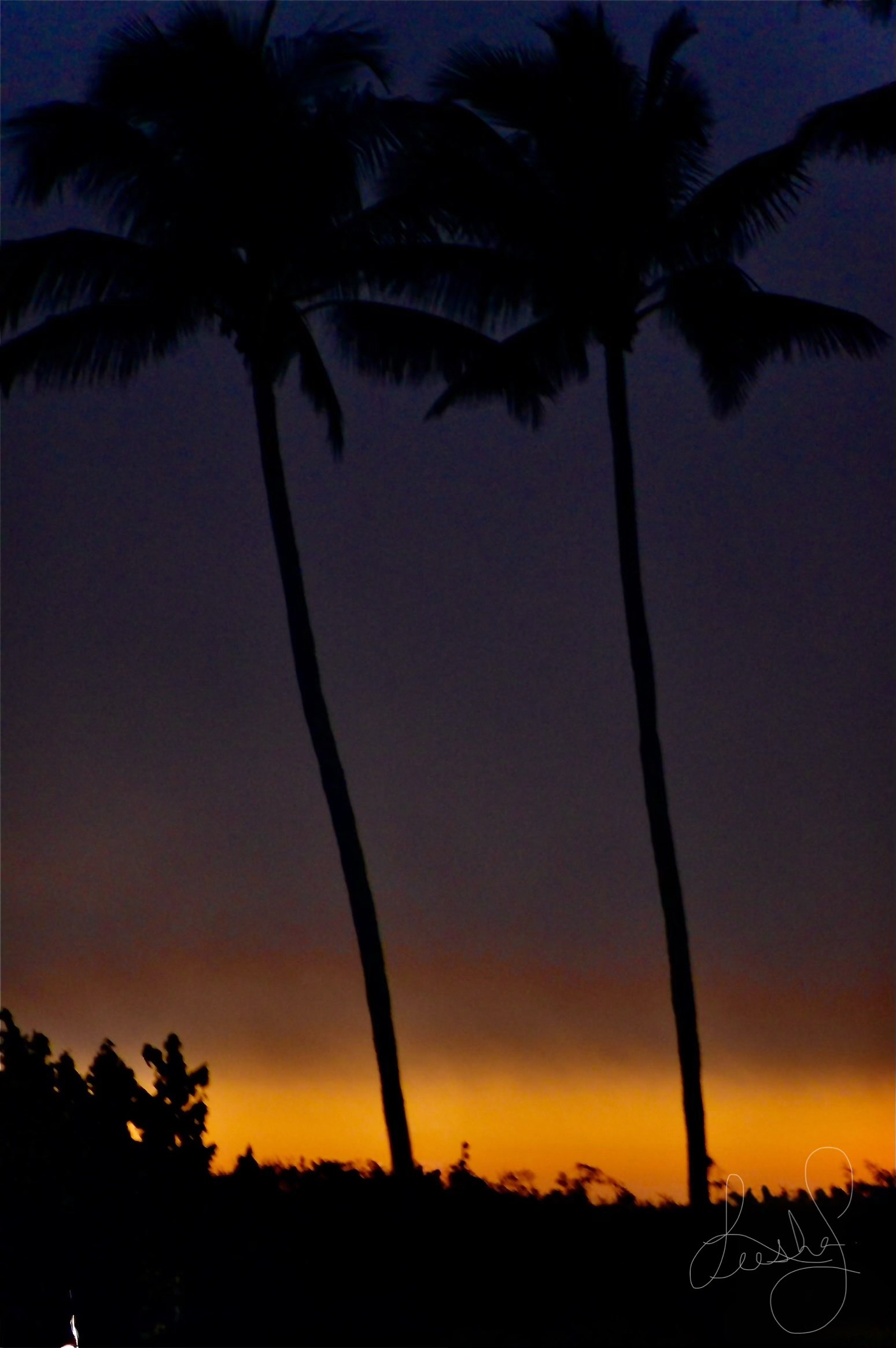 13108 Vanderbilt Drive