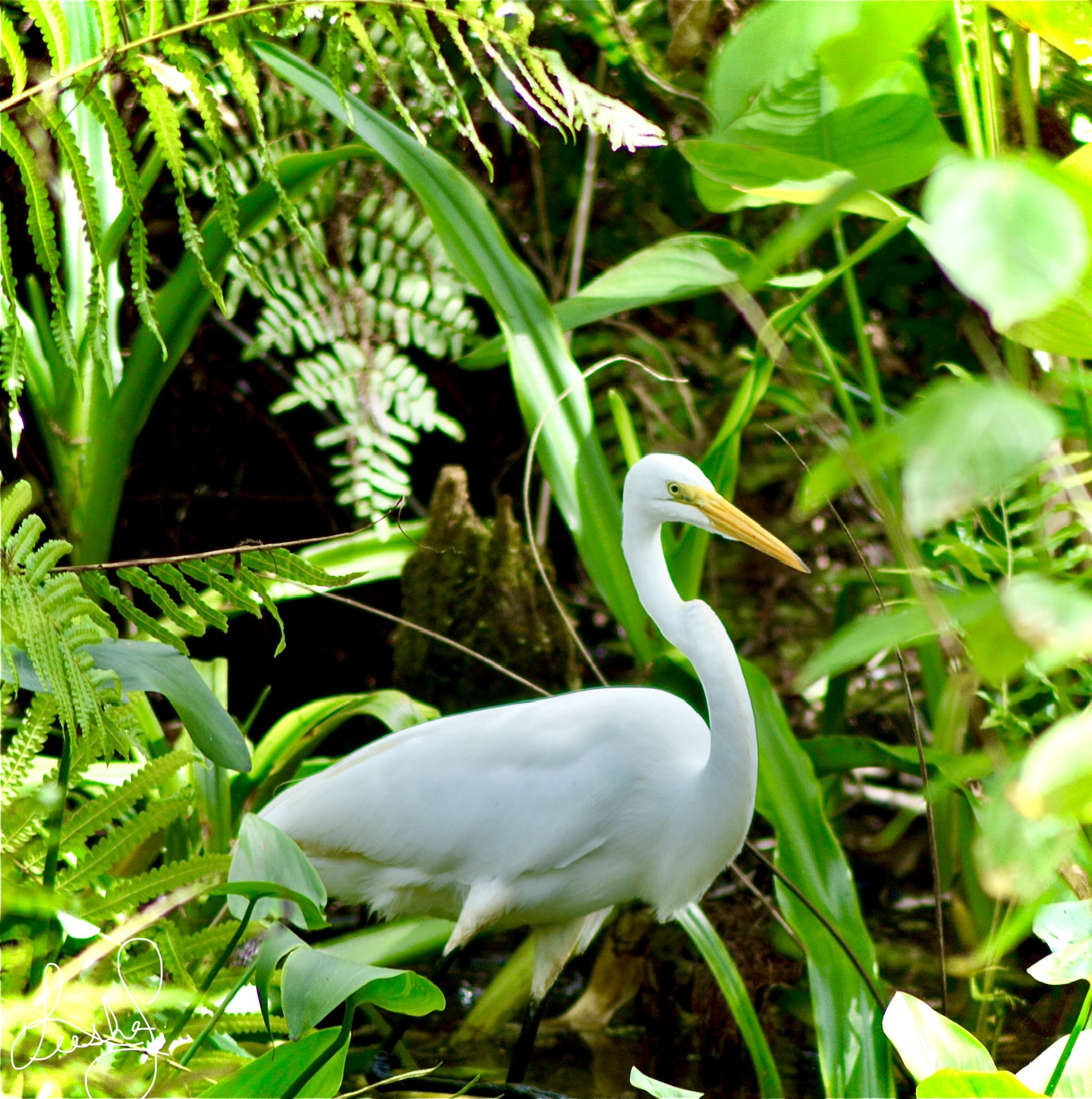 67 47th Avenue Northwest