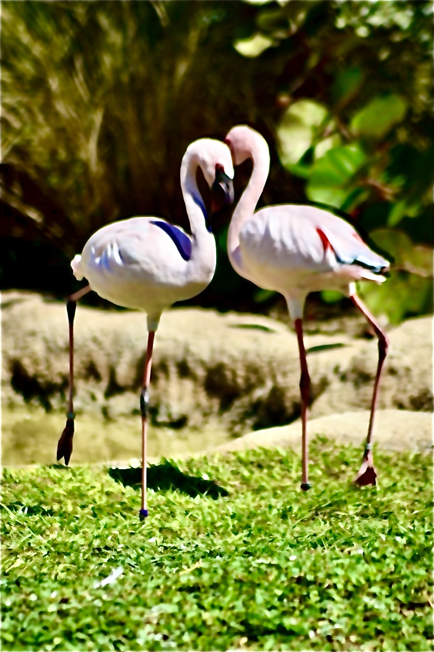 708 Goodlette-Frank Road North