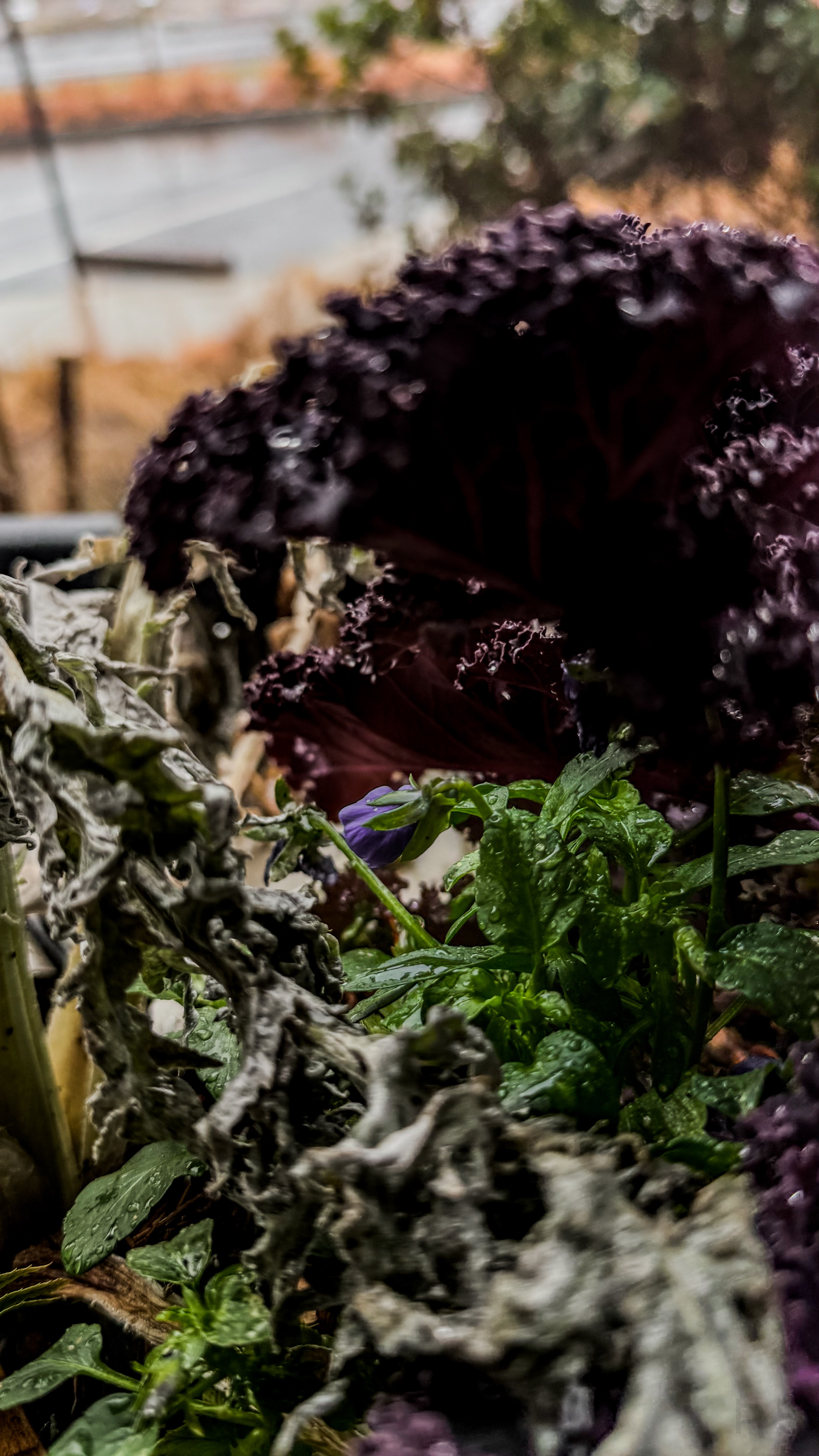 1701 North Graham Street