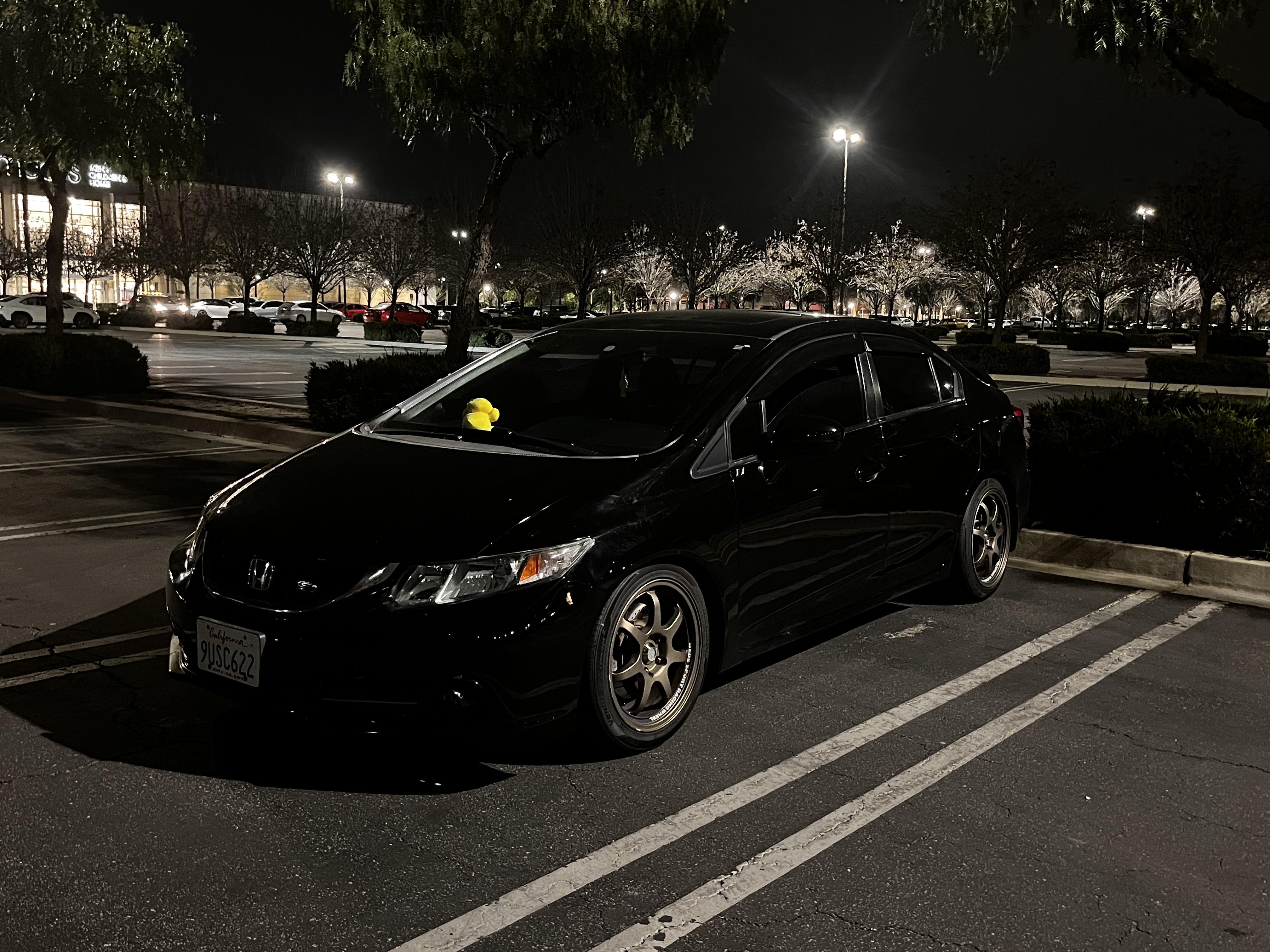 12499 Victoria Gardens Lane