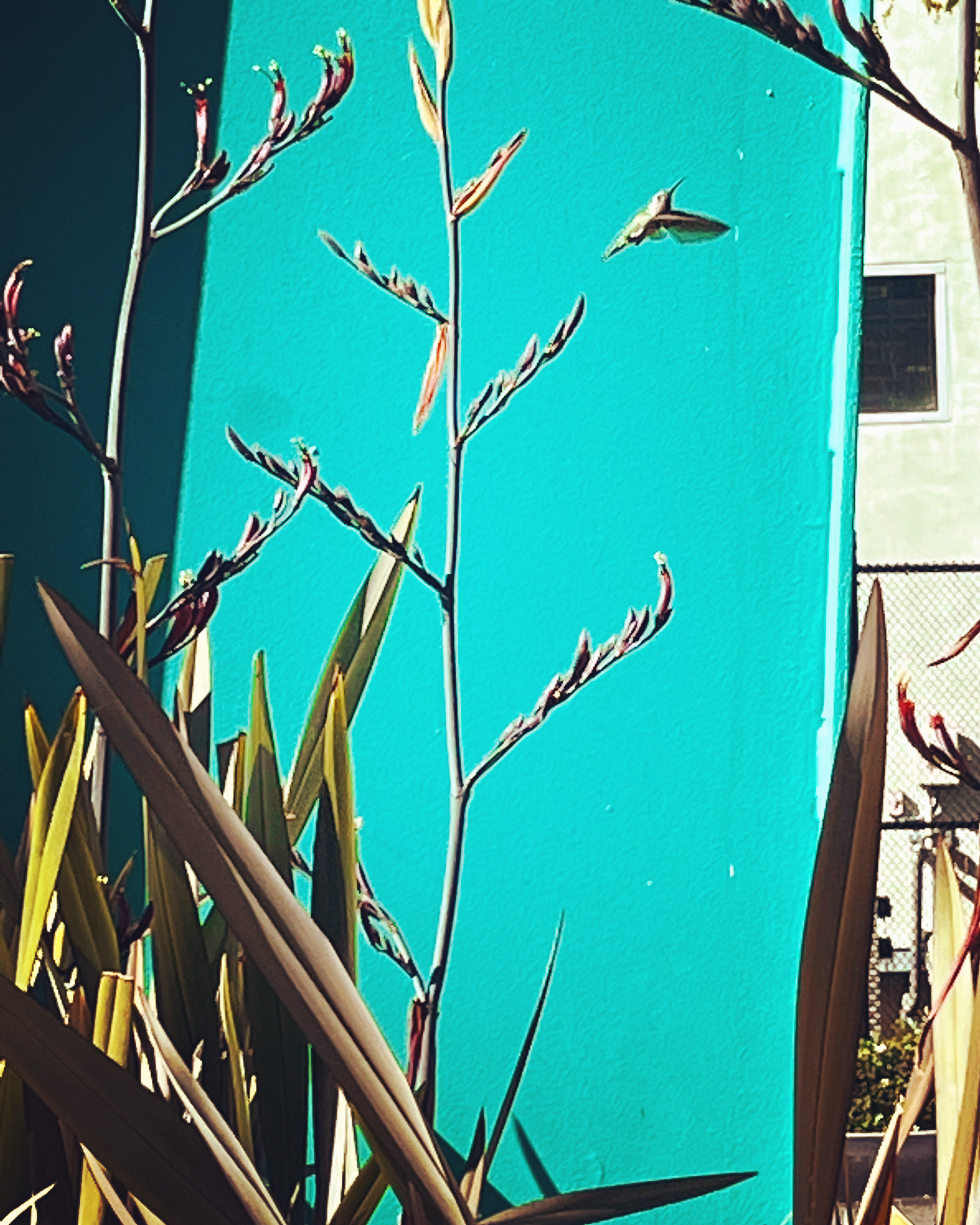 10121 Jefferson Boulevard