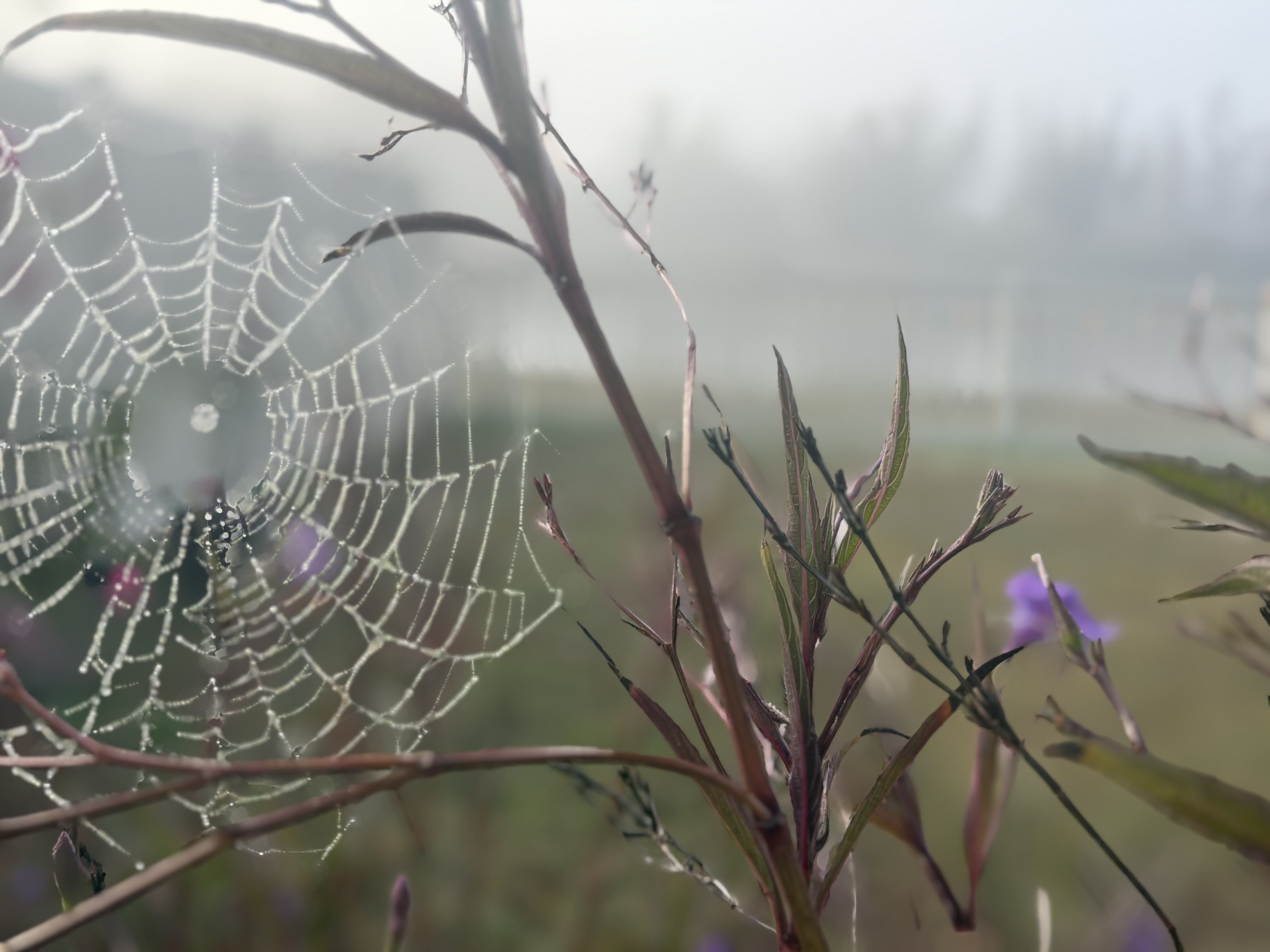 6922 King Creek Drive