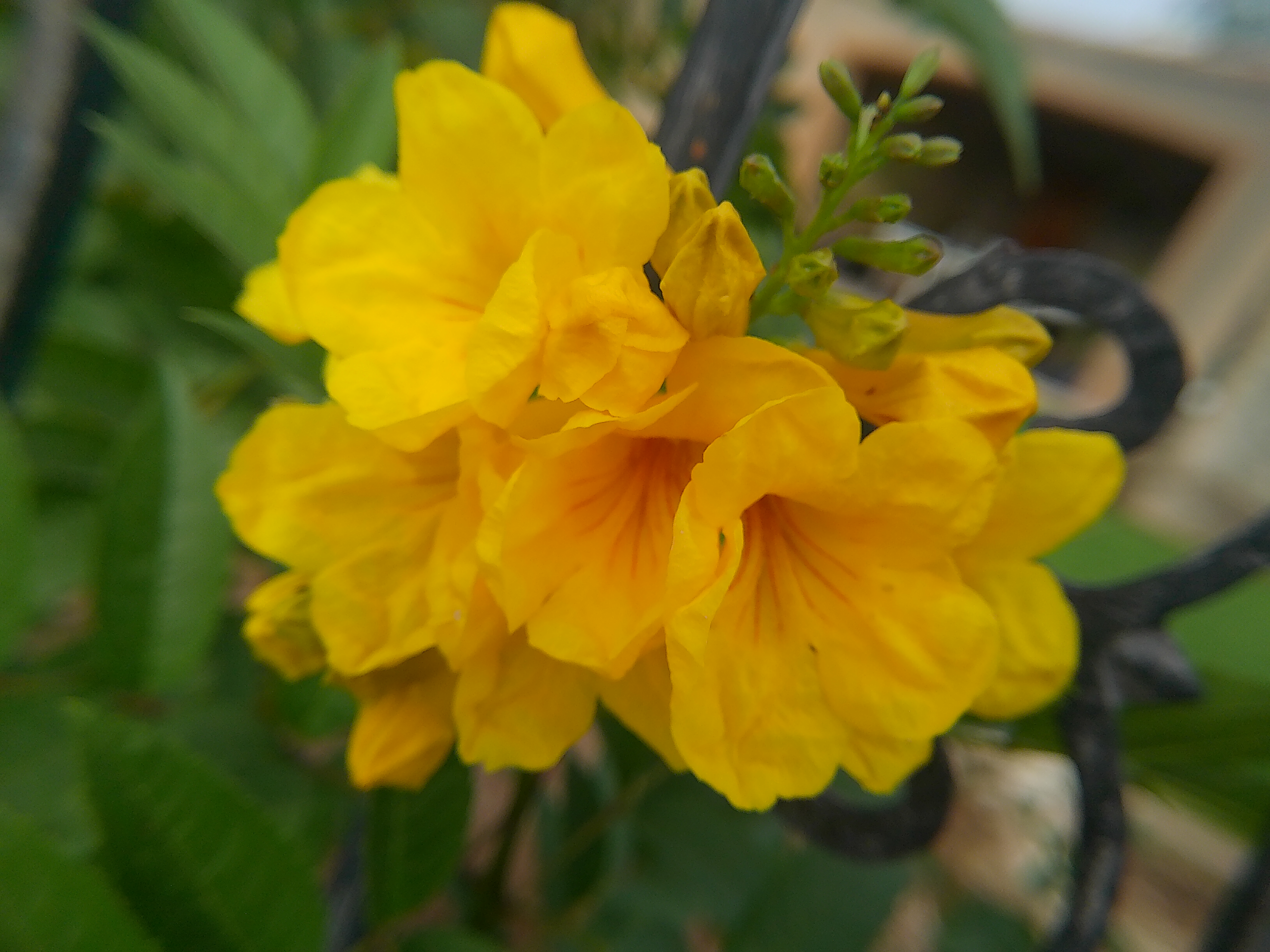 1615 East Almeria Road