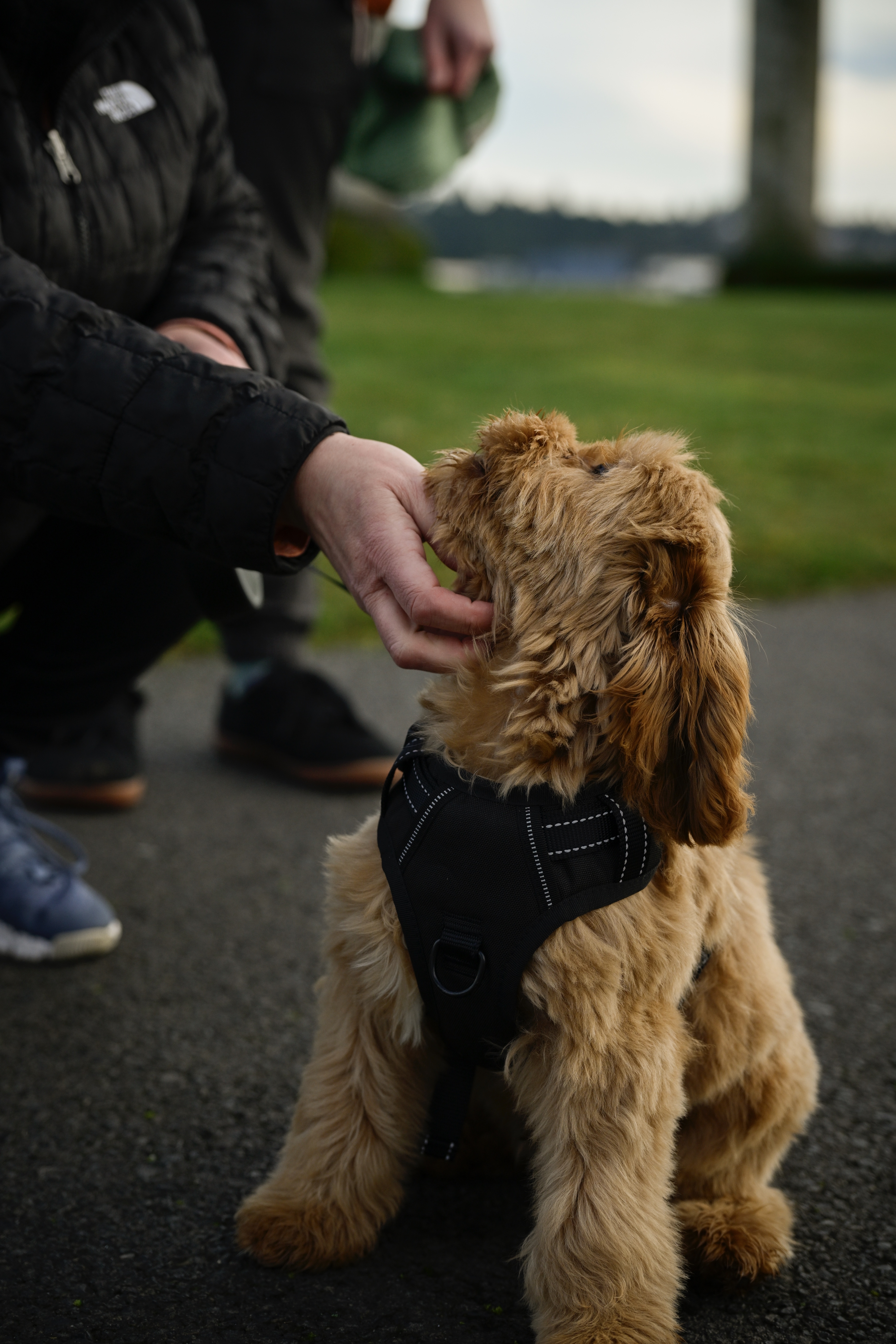 5130 North 27th Street