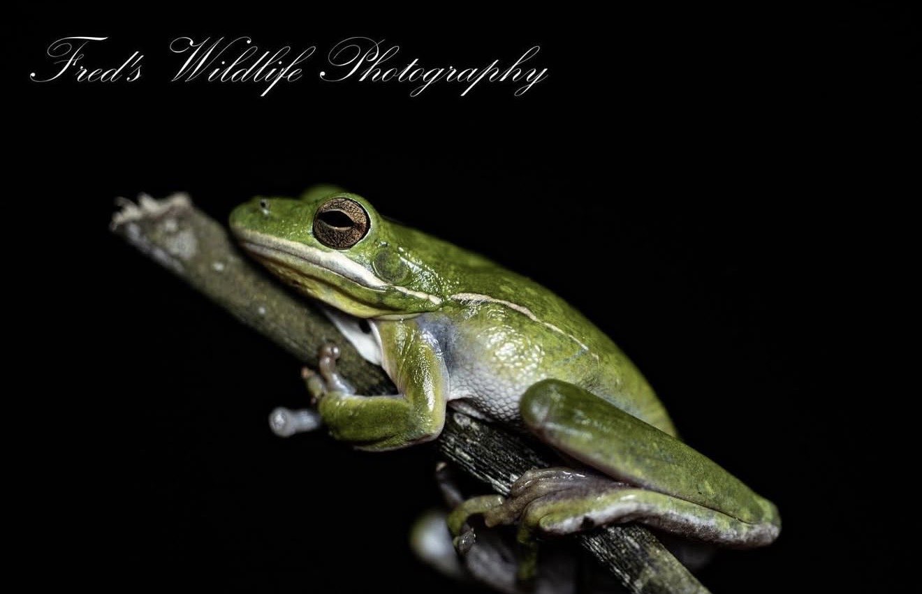 2302 Interlaken Street