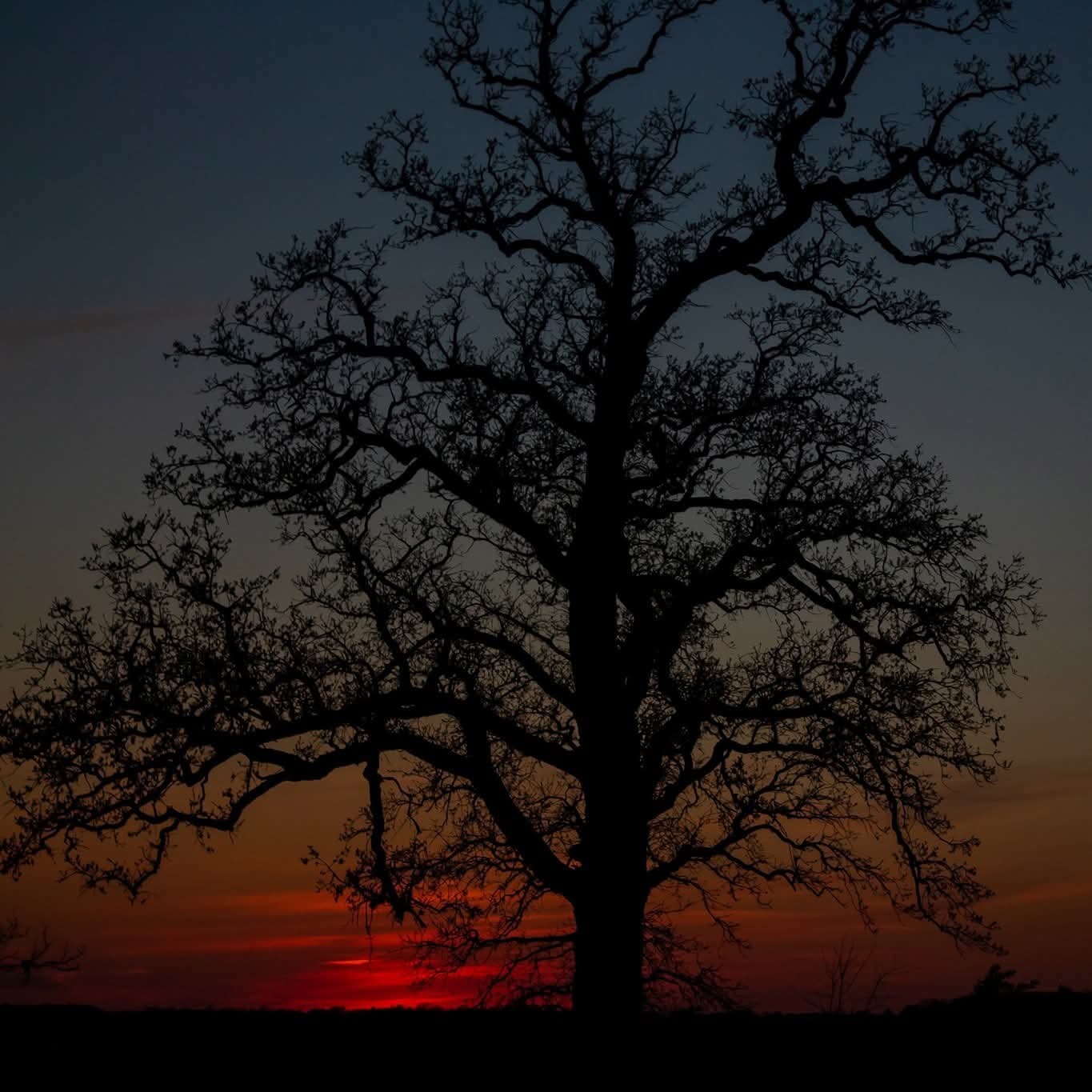 44 New Yorker Boulevard