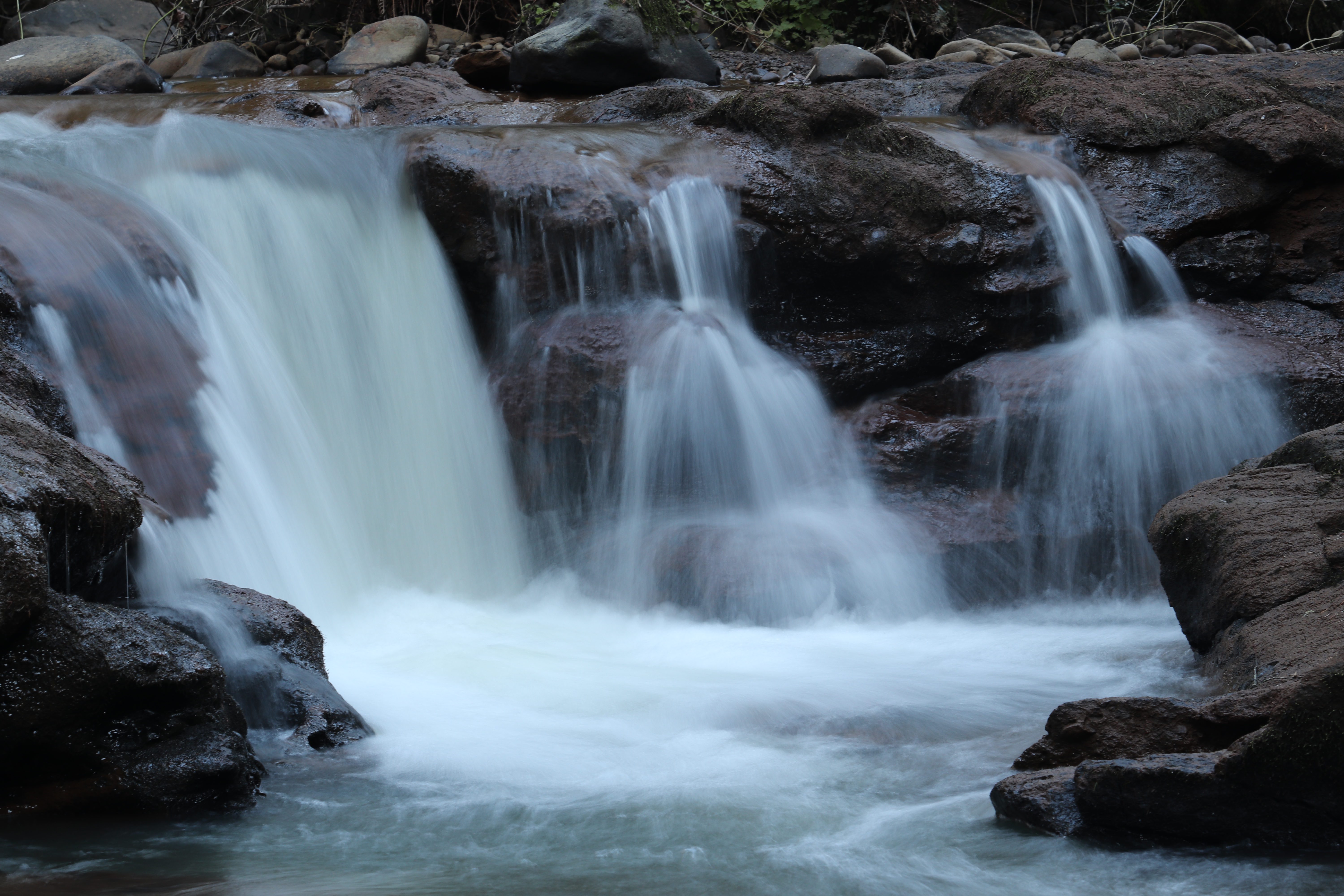 5220 Southeast Chase Road