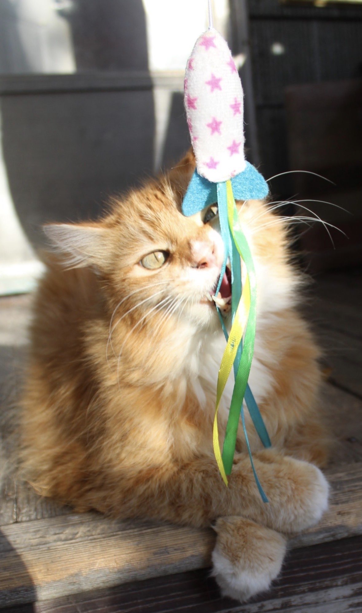 2131 South Cushman Avenue