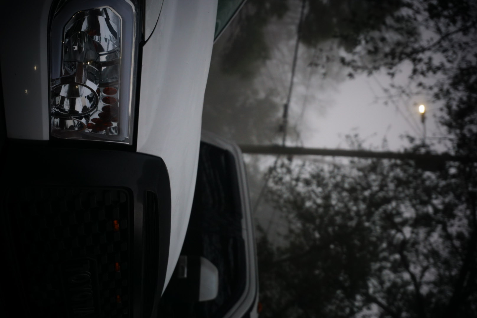 2326 Marigold Loop E