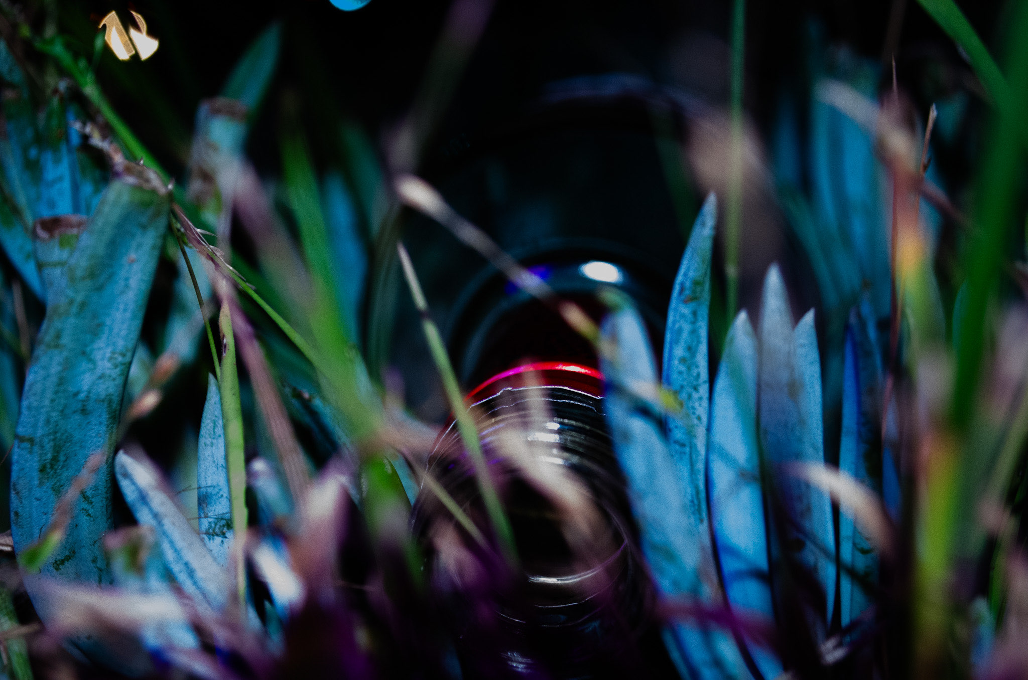 9710 Scholars Drive North