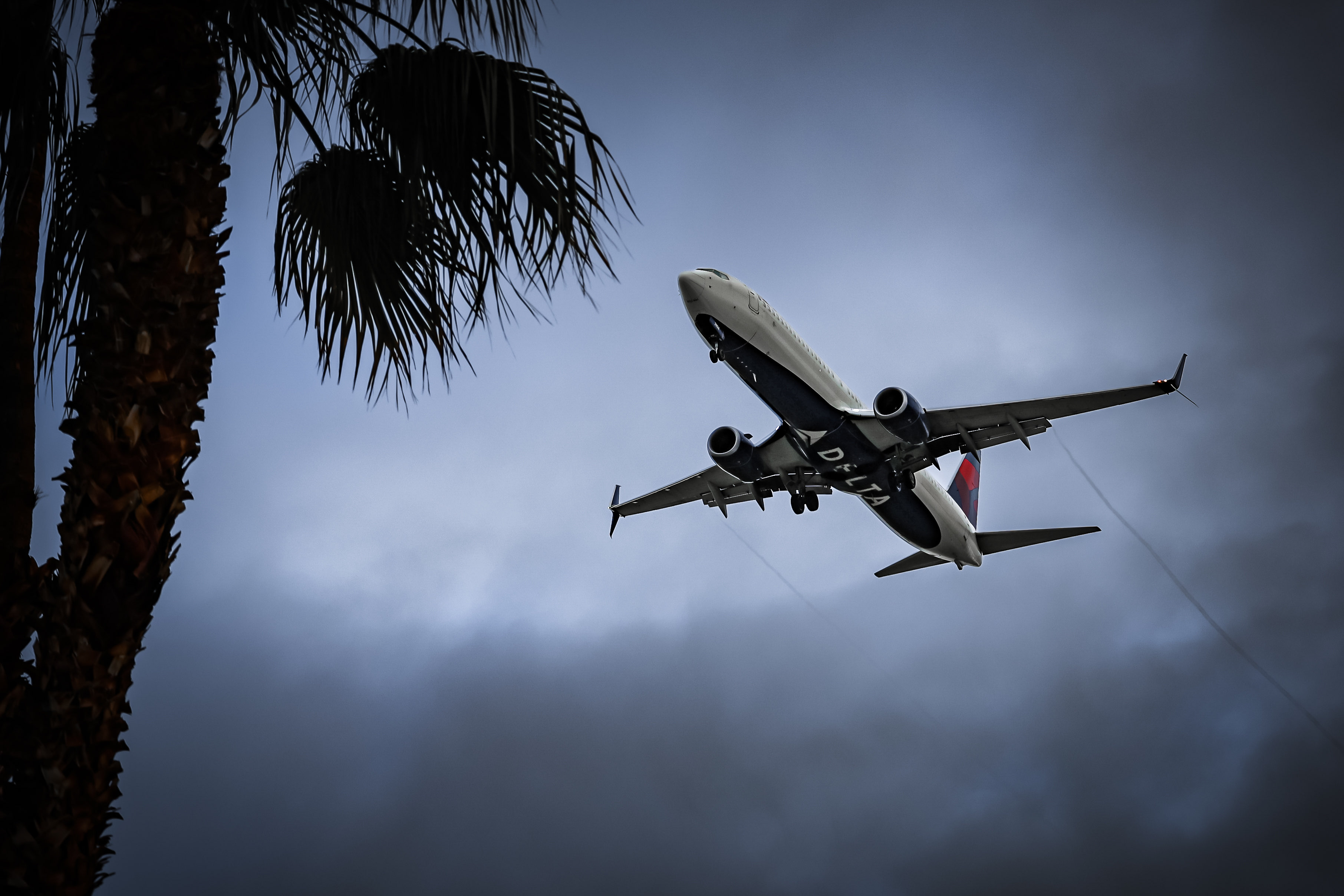 3989 East Calle De Carlos