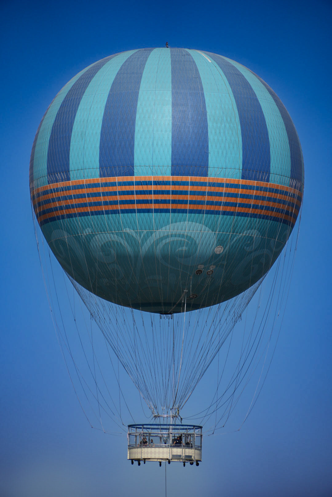 1501 East Buena Vista Drive