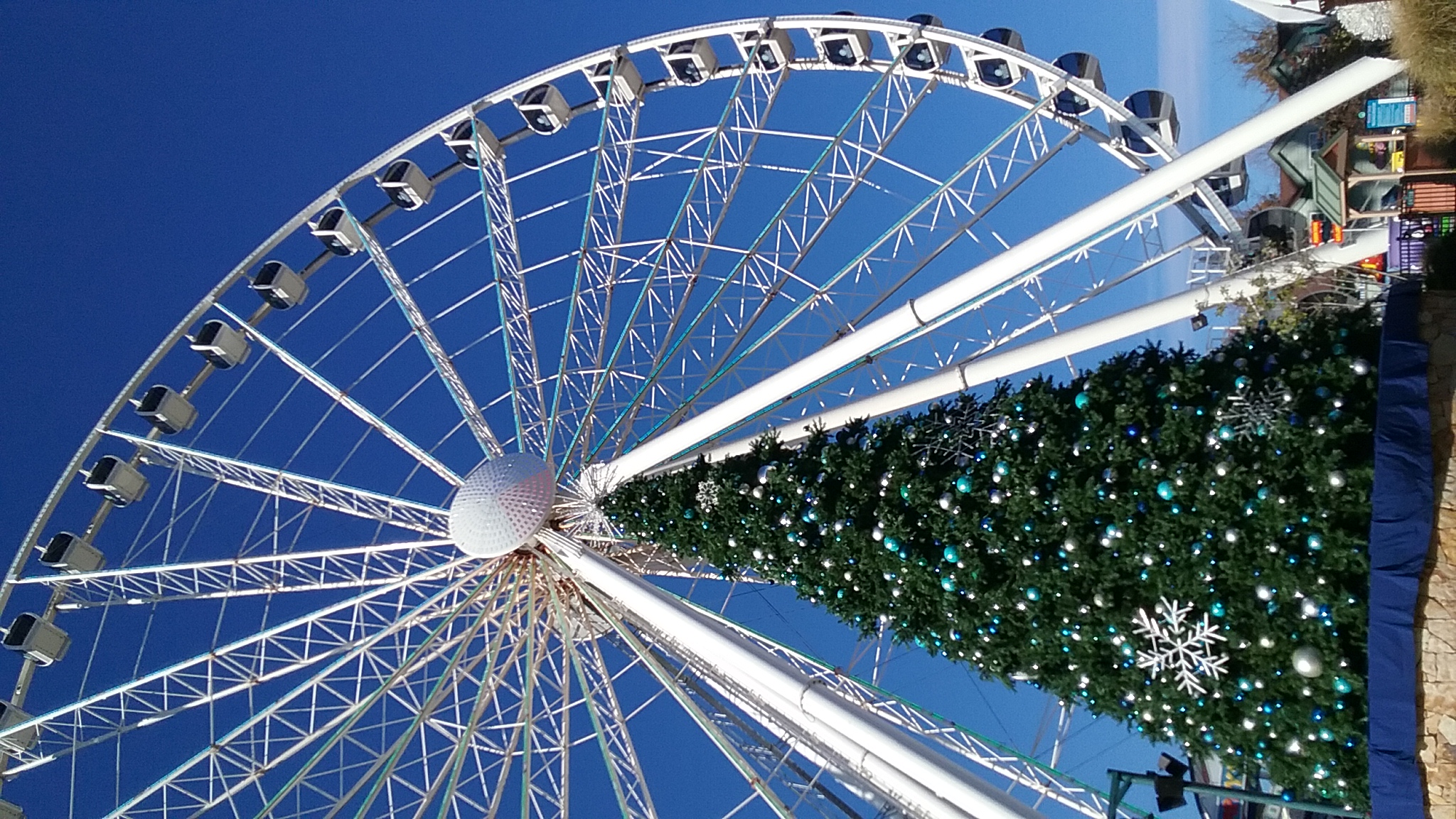 135 The Island Drive