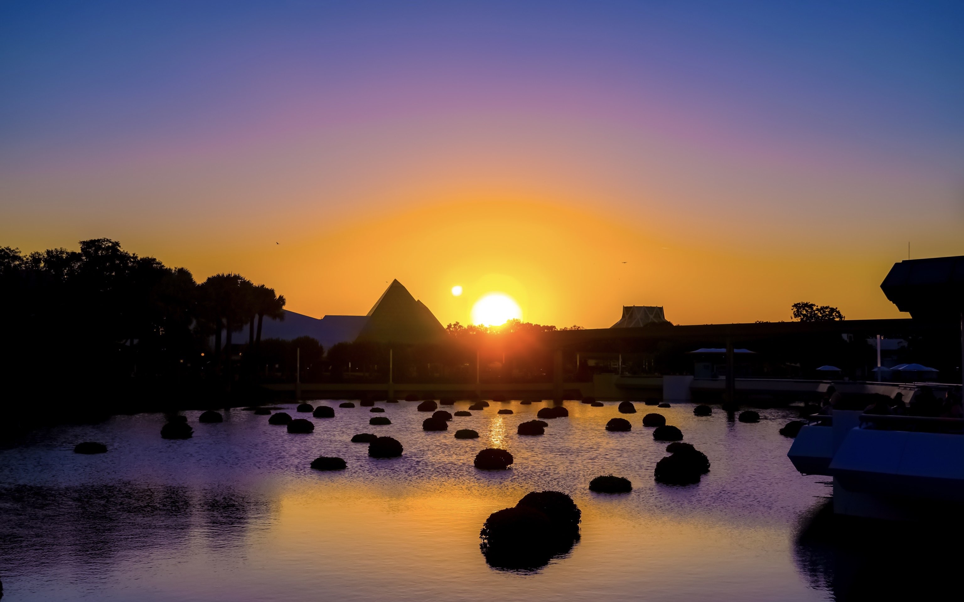 1982 Avenue of the Stars