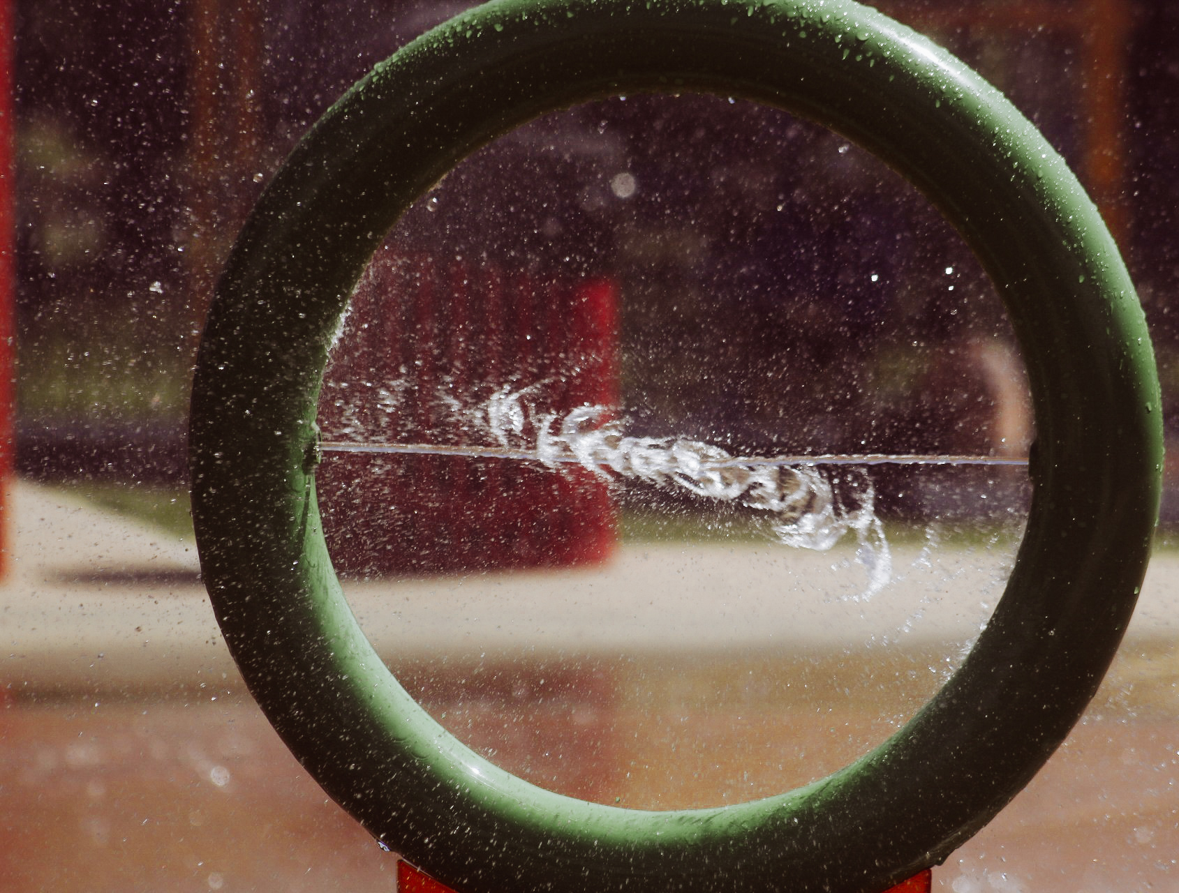 2310 Robinson Avenue