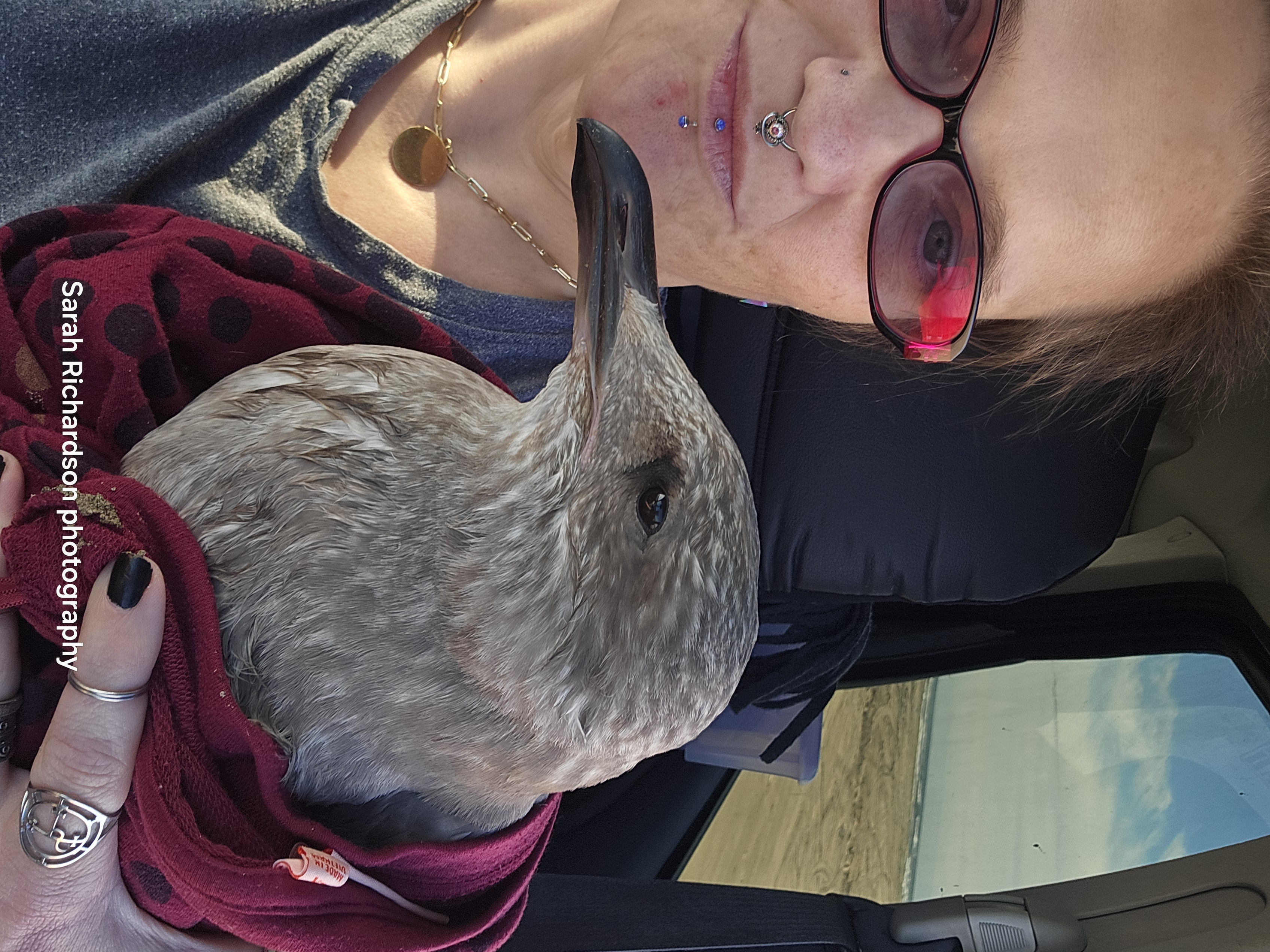 1301-1311 15th Avenue