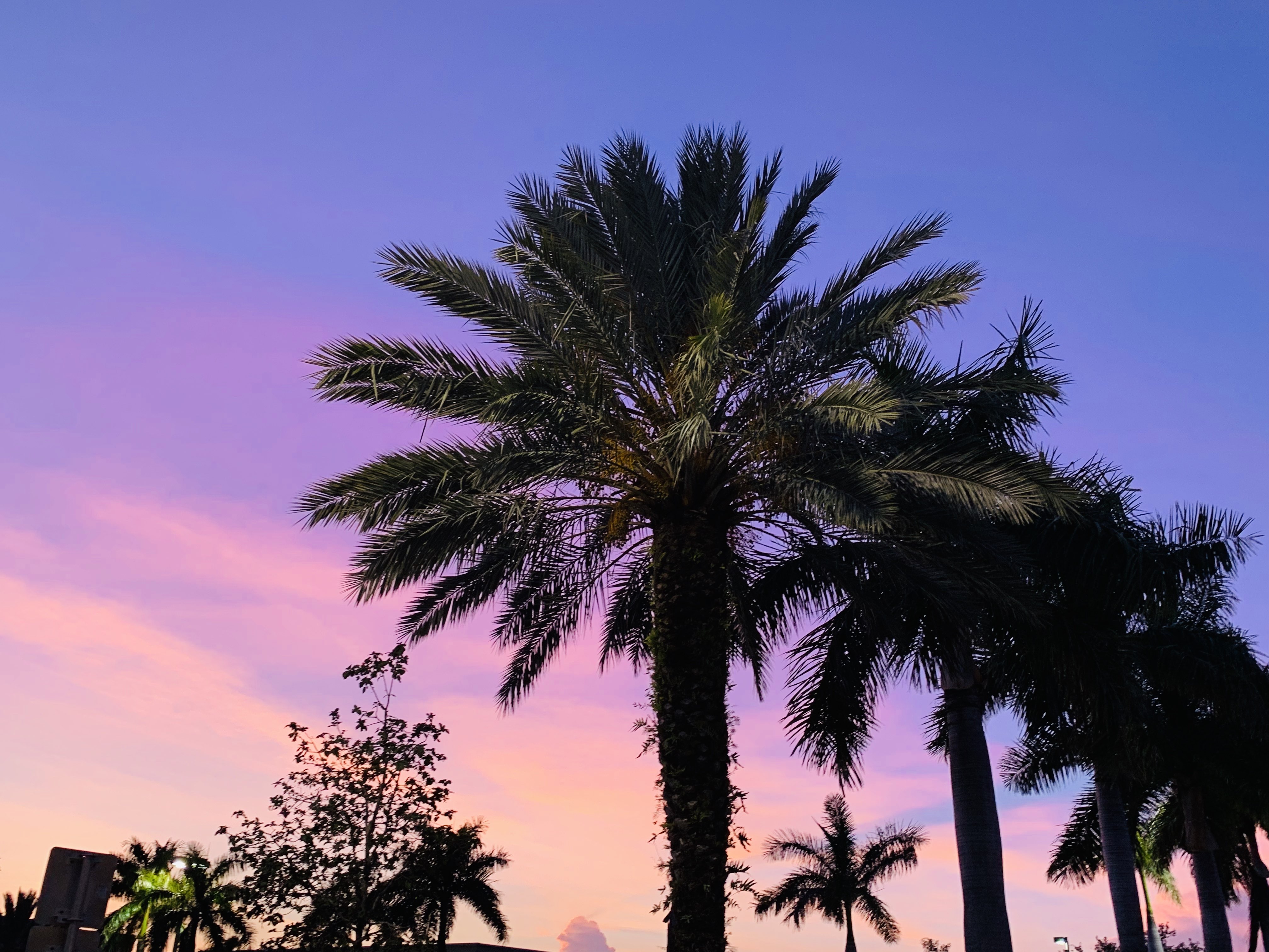 119 S University Dr 118