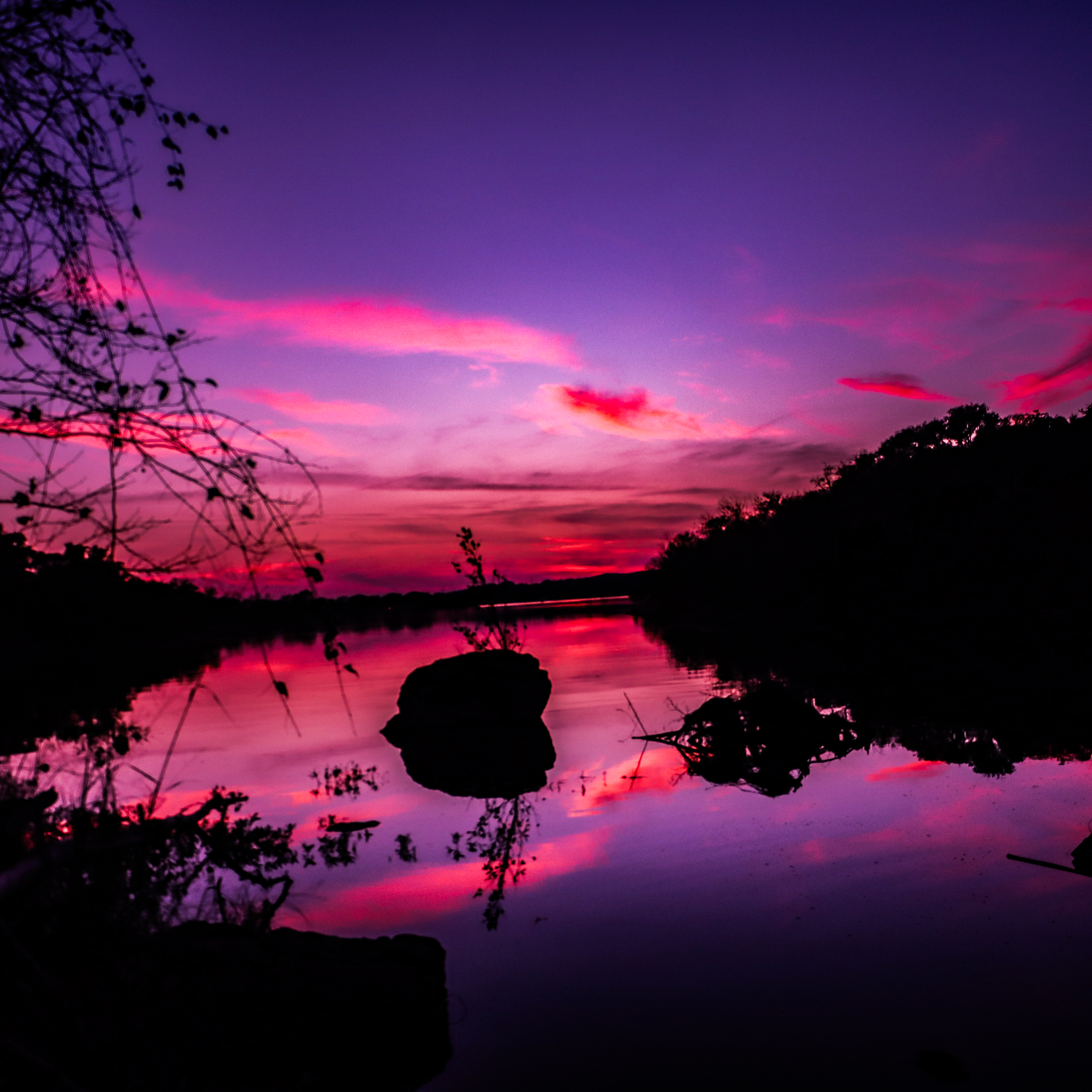 19503 Lace Cactus Drive