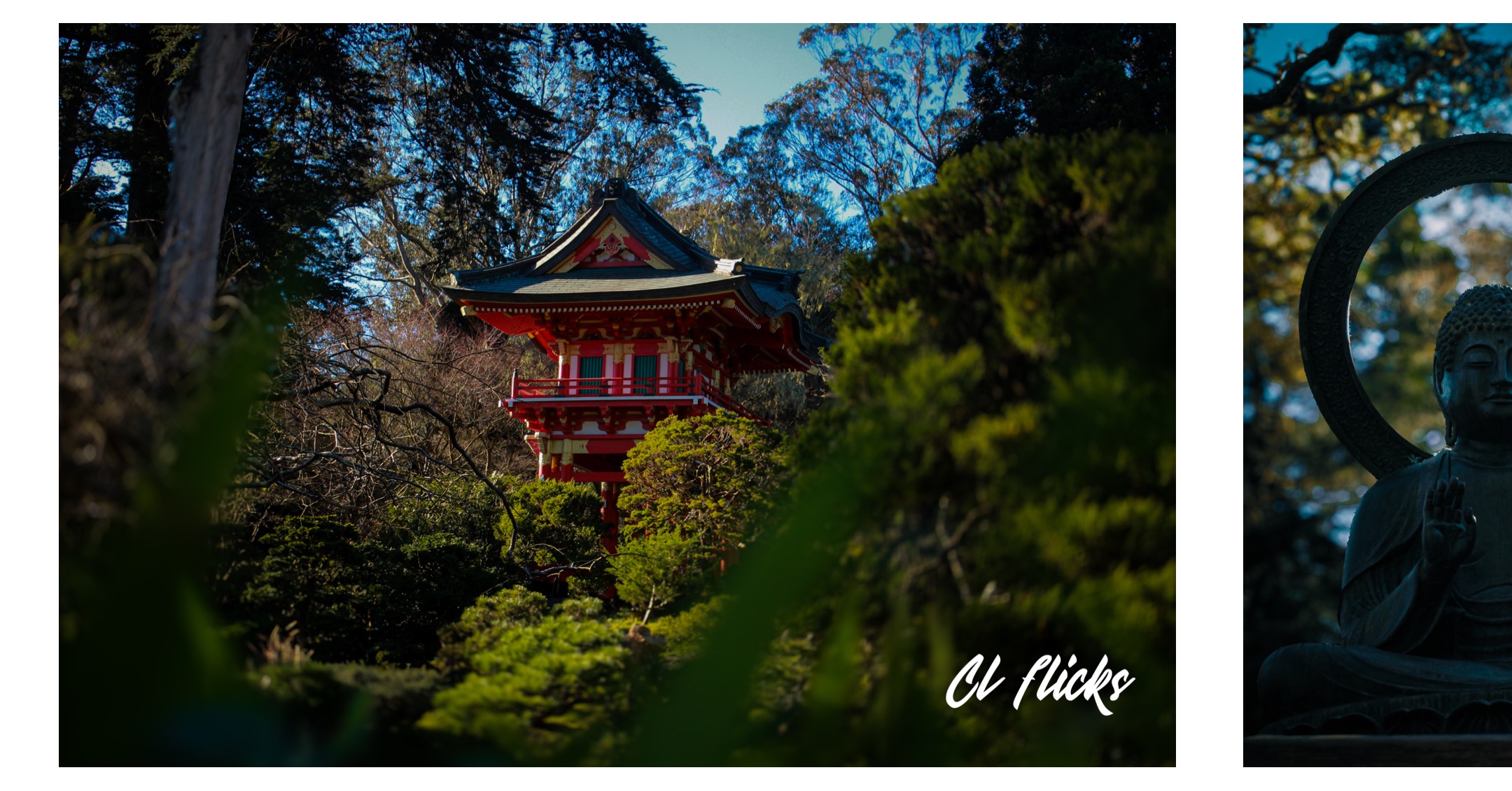 Hagiwara Tea Garden Drive