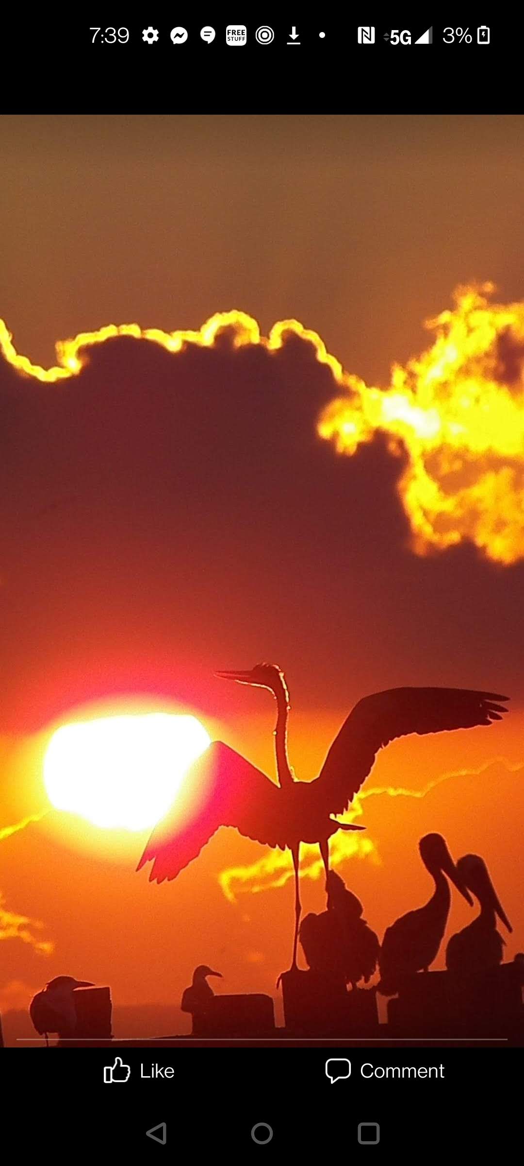 17350 Woodland Drive