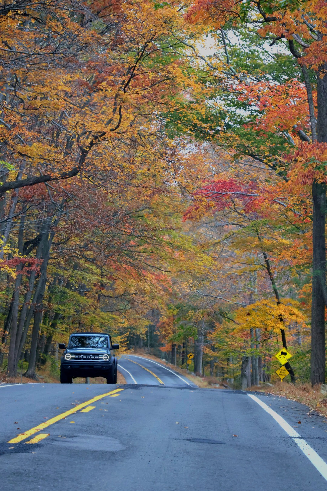 1771 Seven Lakes Drive