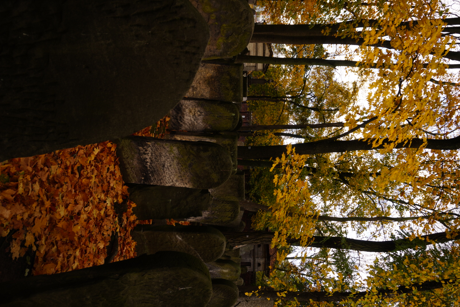 Mordechaja Anielewicza 49a