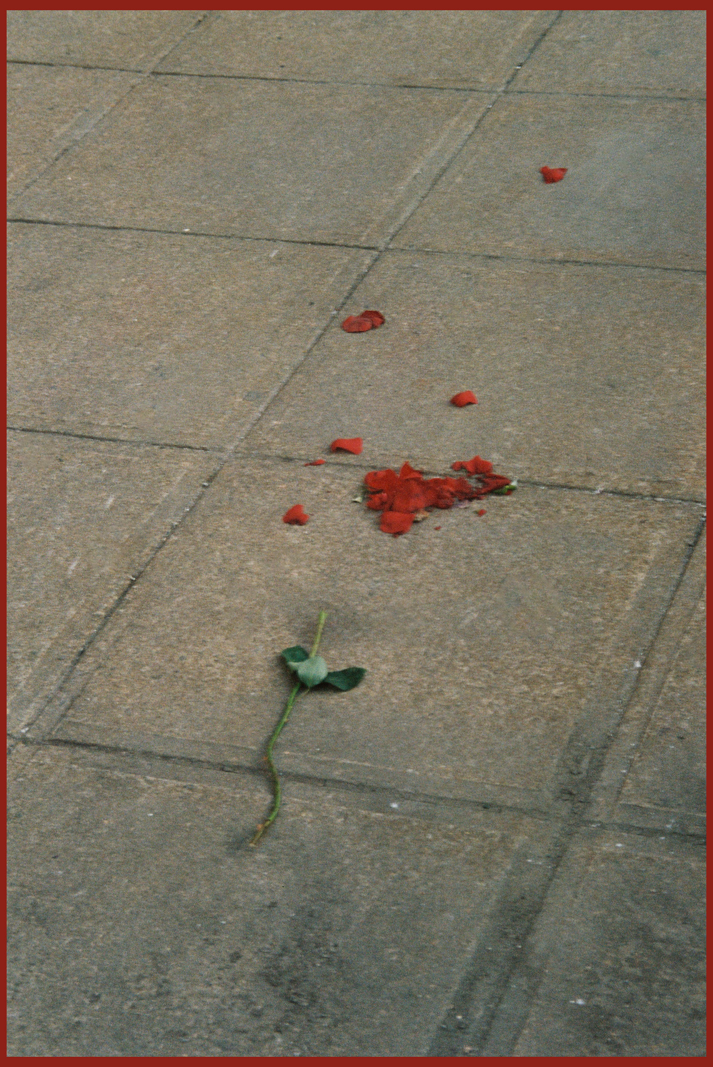 530 South Mcdowell Street