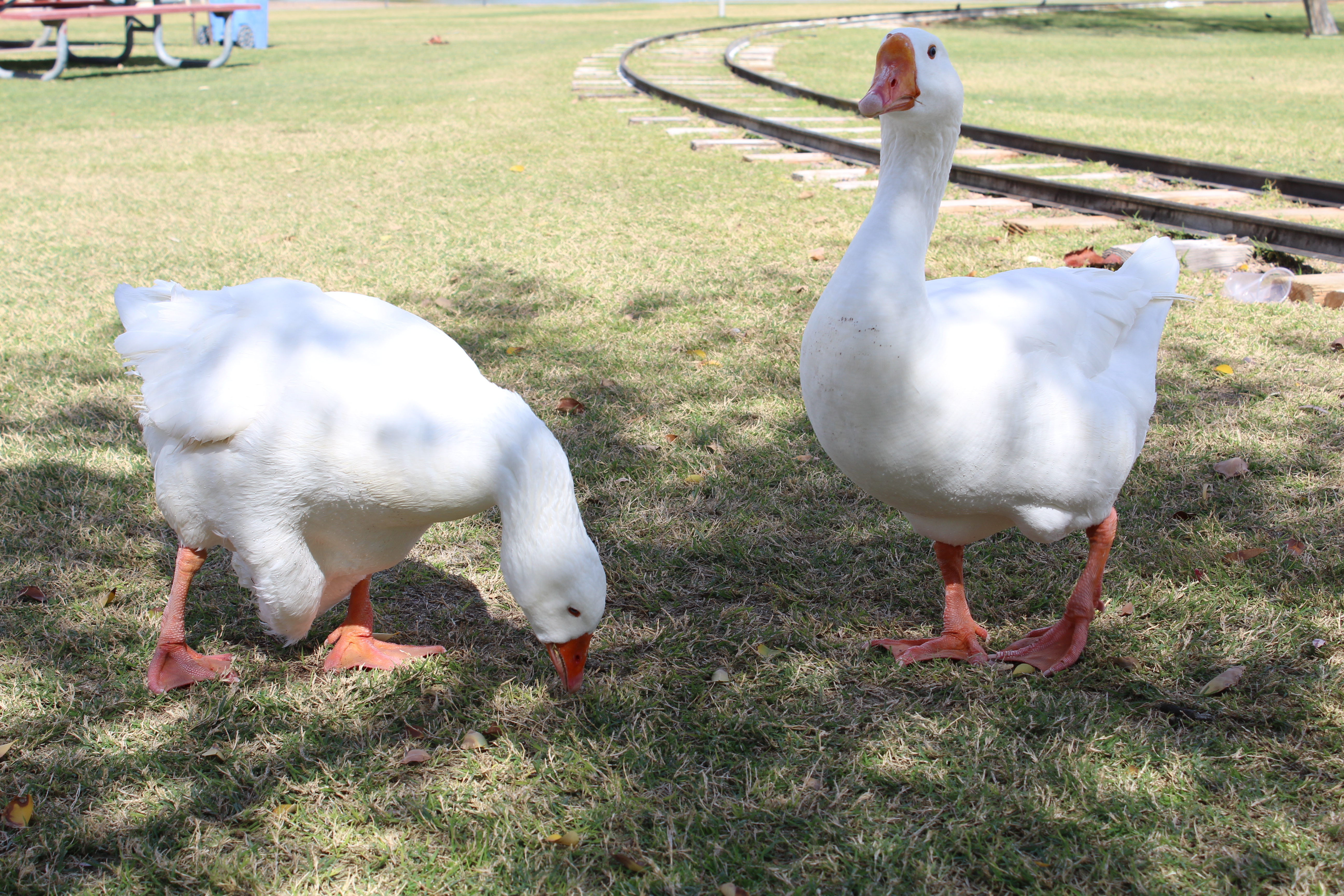 2125 North 15th Avenue