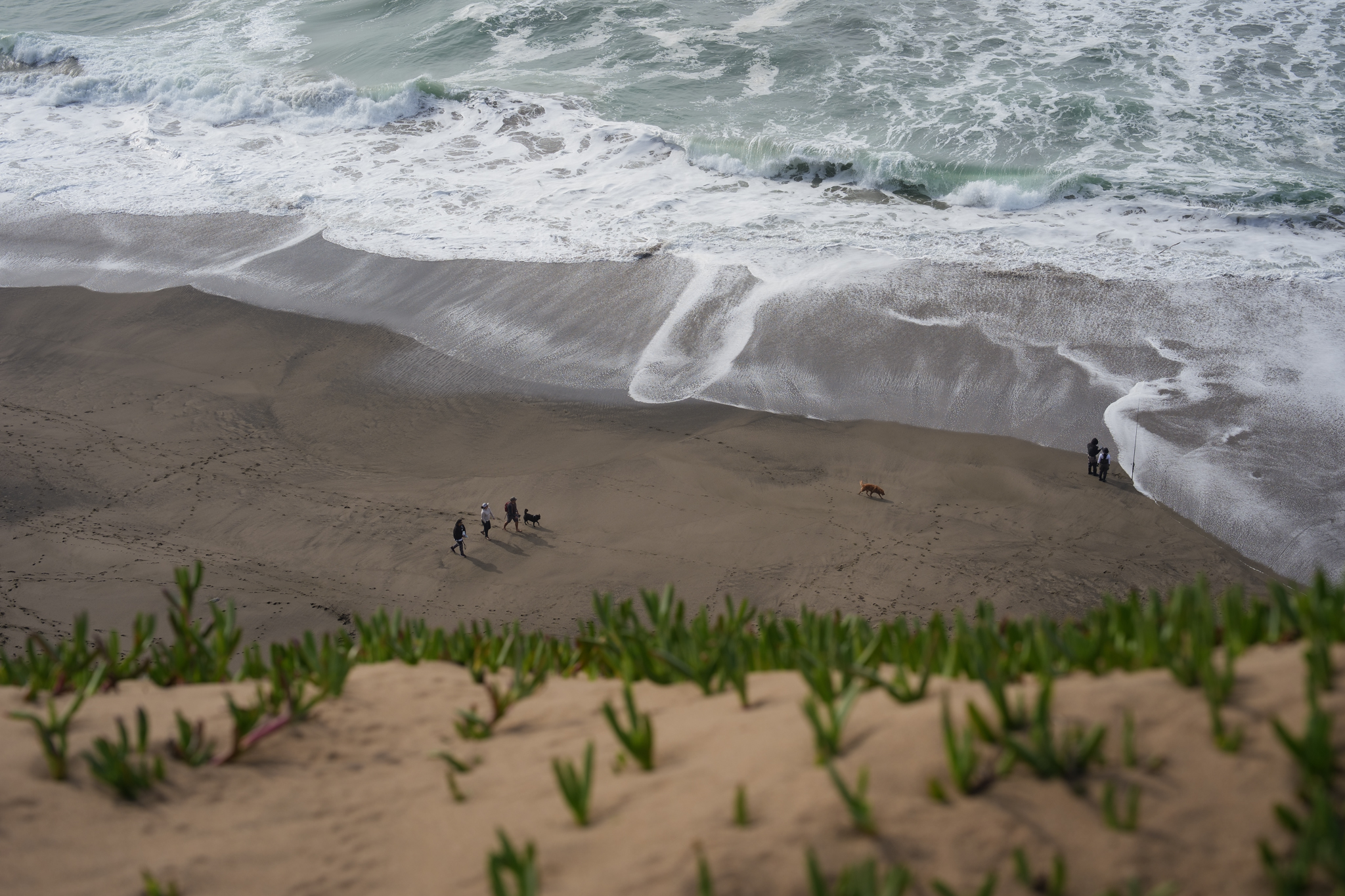 5005 Palmetto Avenue